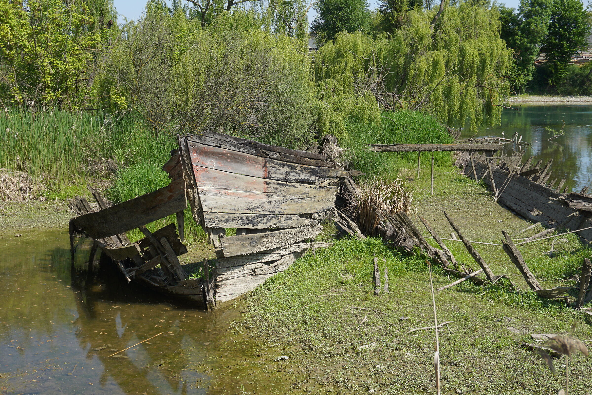 Wreck of a Burcio on the river Sile...