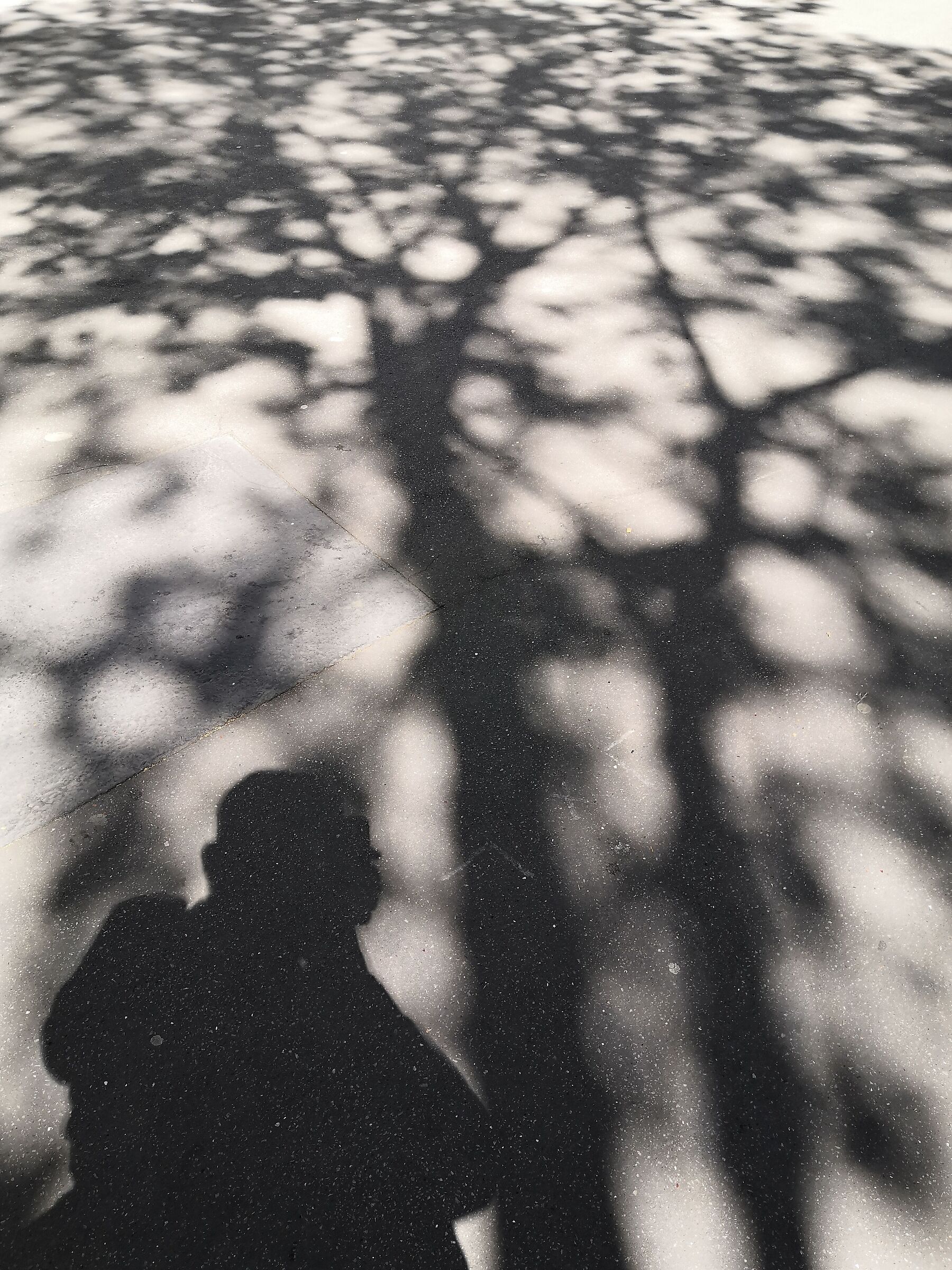 Shadow photographer in MontMartre...