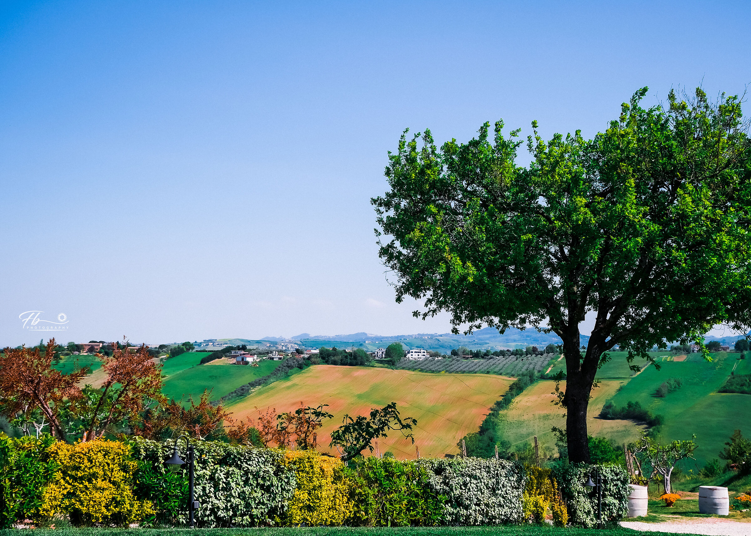 Romagna hills in bloom...