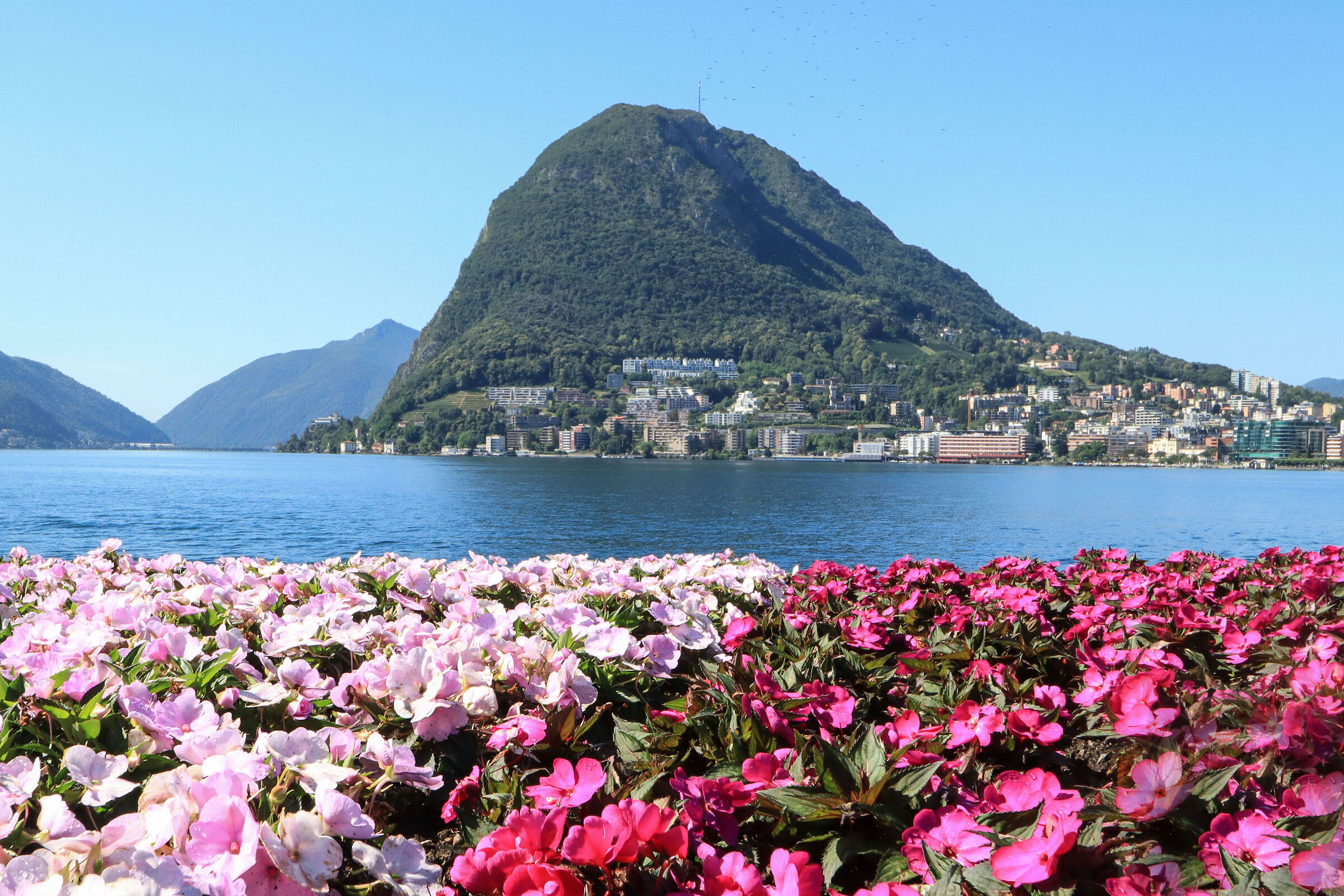 Ciani Park in bloom Lugano...