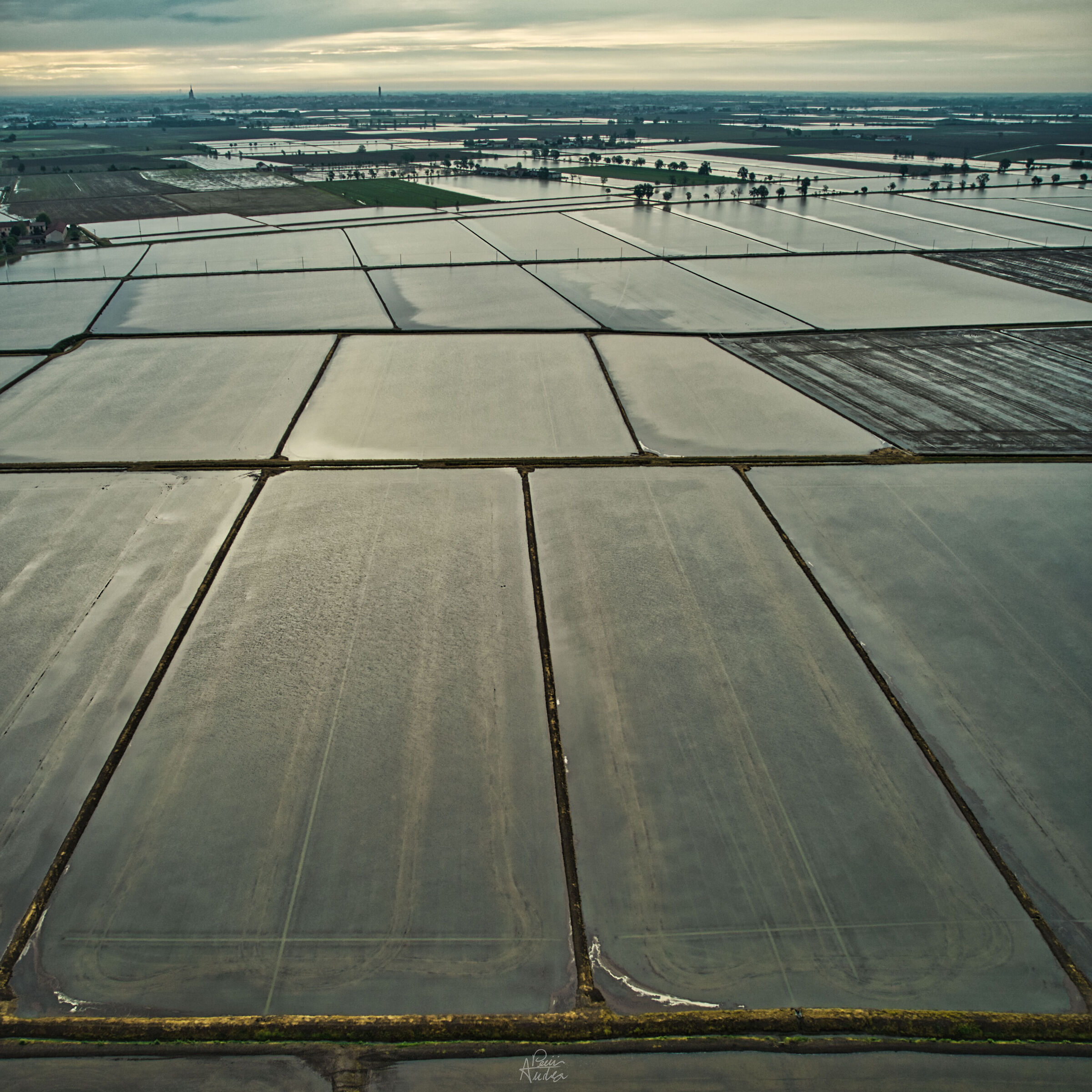 Novara rice fields...