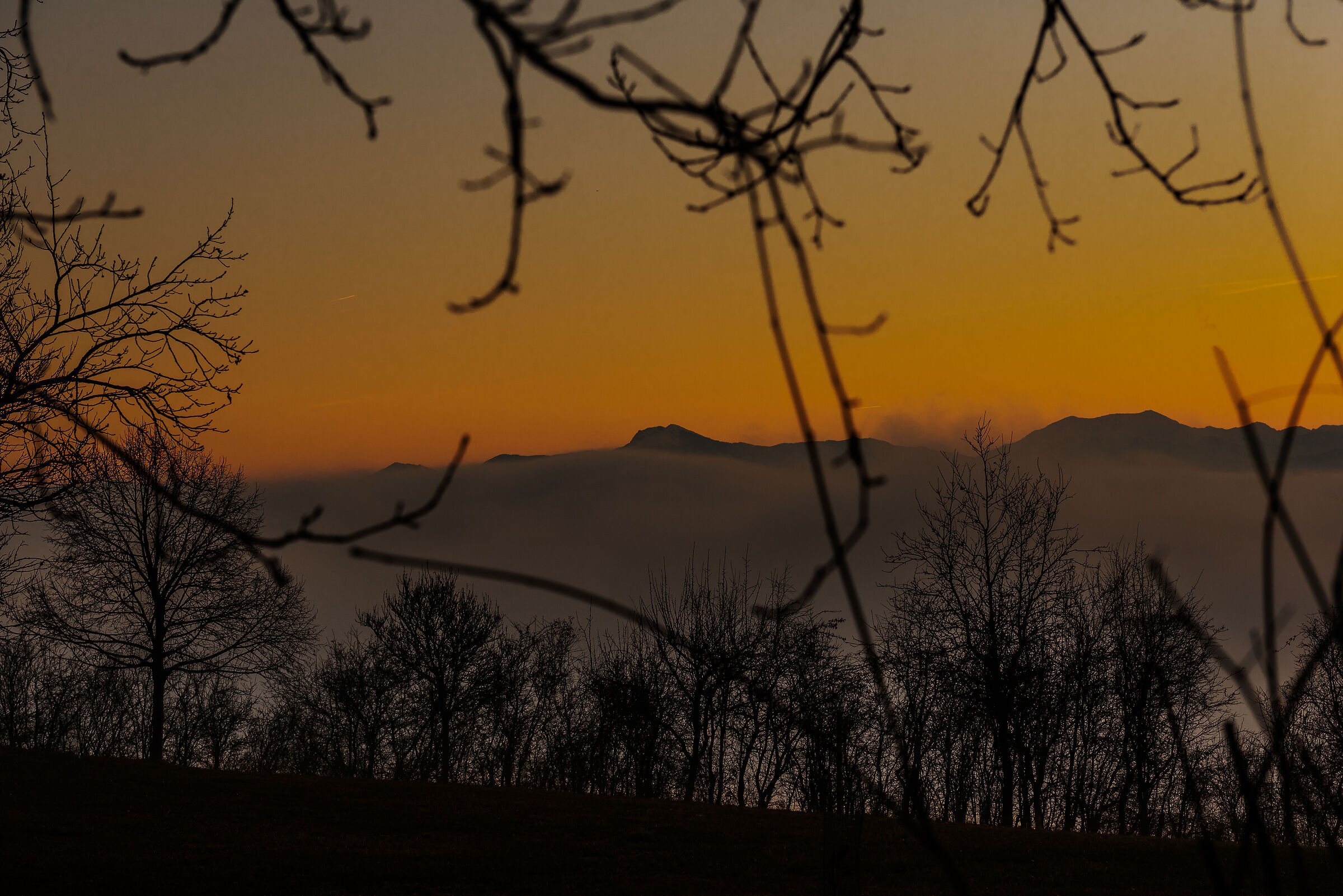 Parma Sunsets...