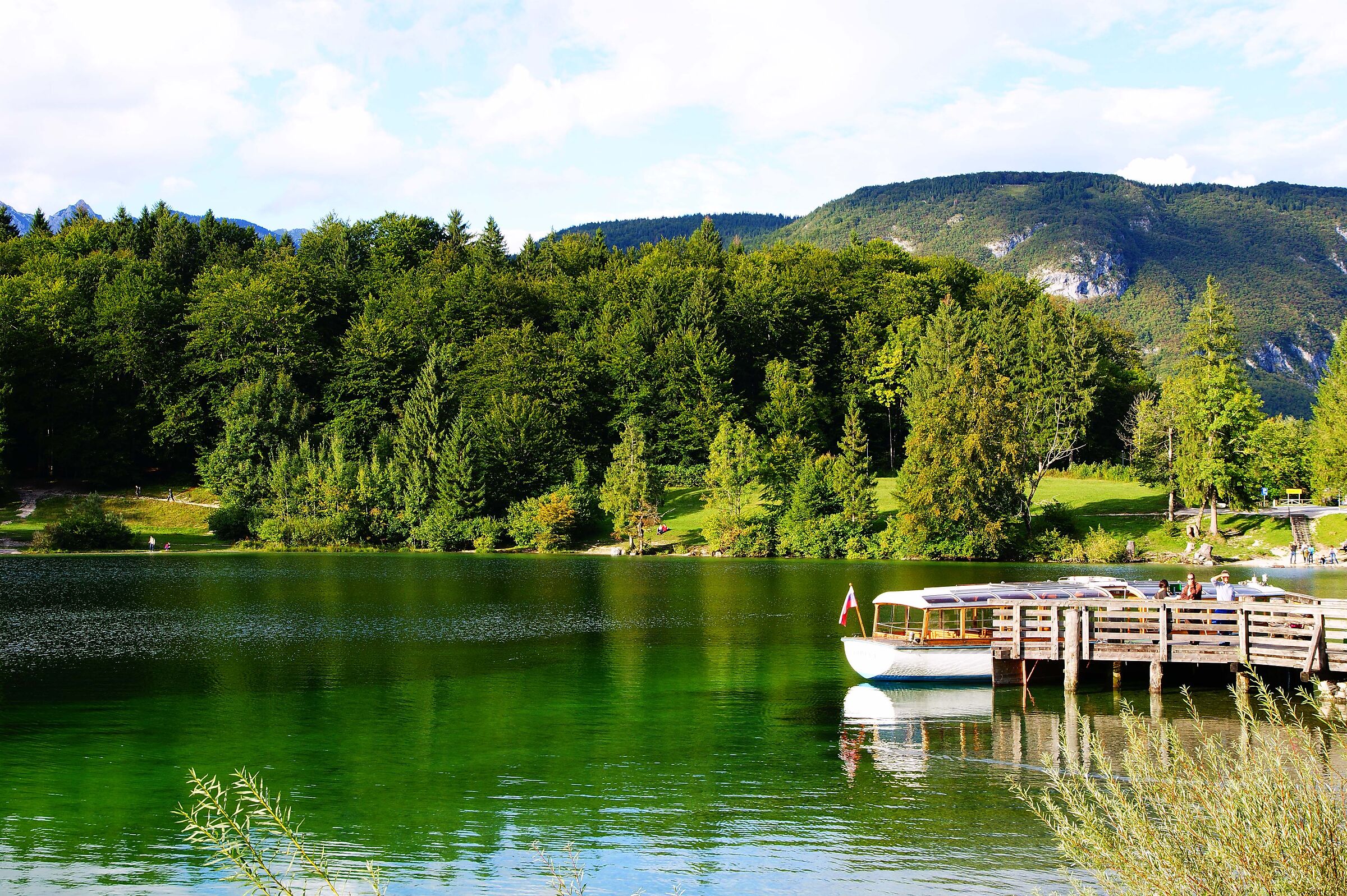 Lago Bohinj -Slovenia-...