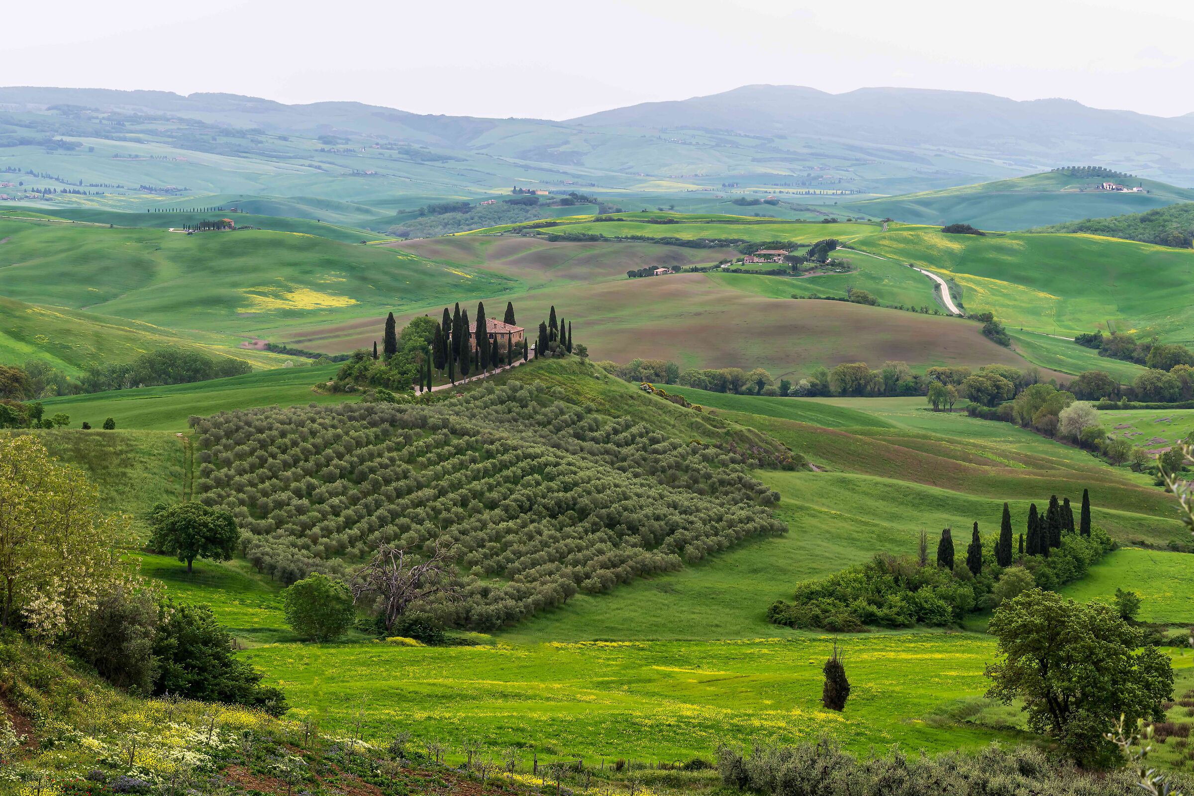 VAL D'ORCIA - TUSCANY...