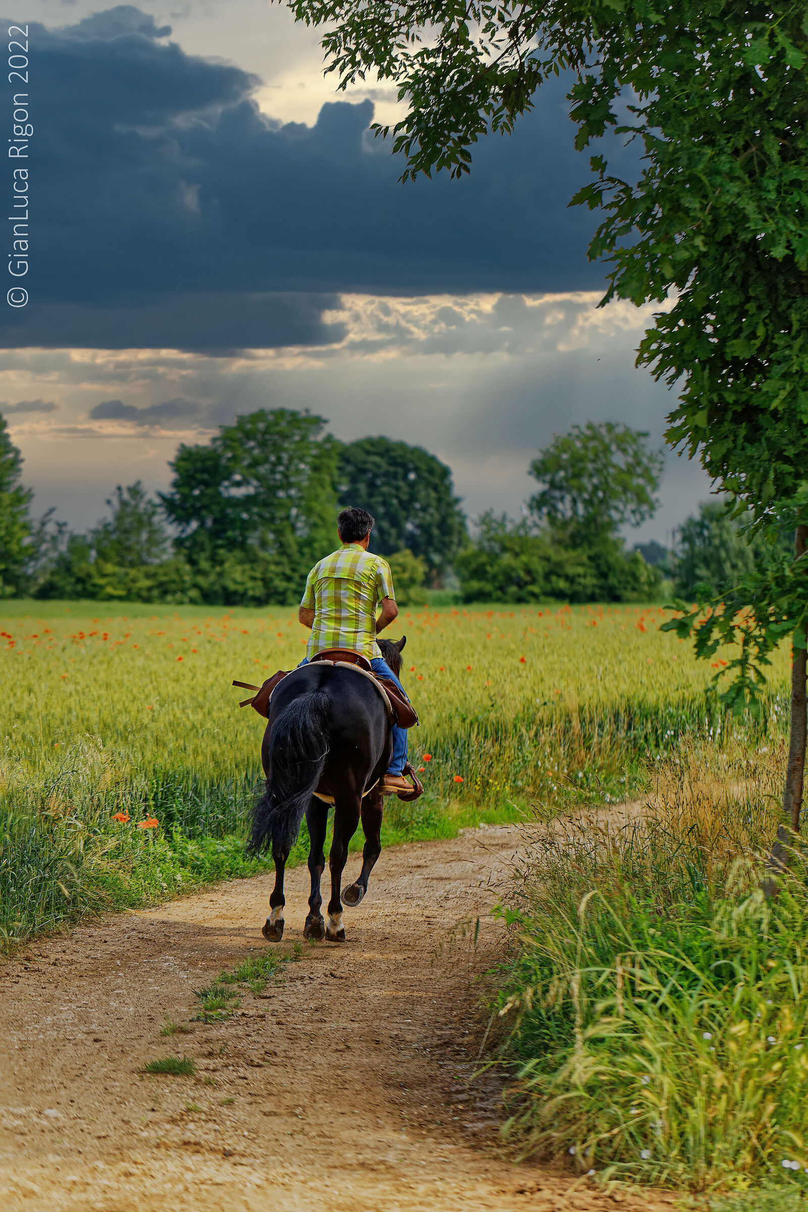 Horseback riding through the Vicenza countryside...