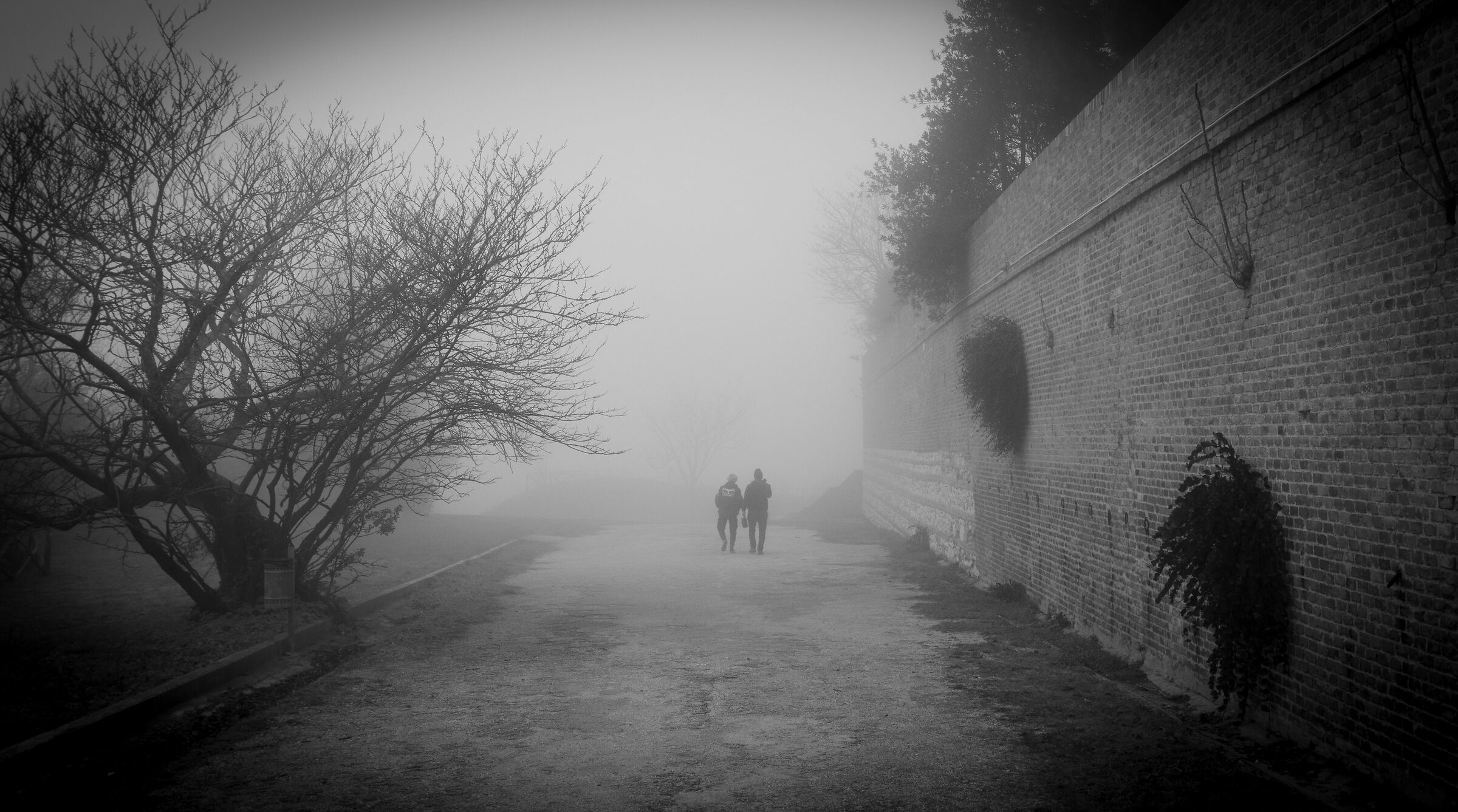 Ancona - cardeto park and the fog...