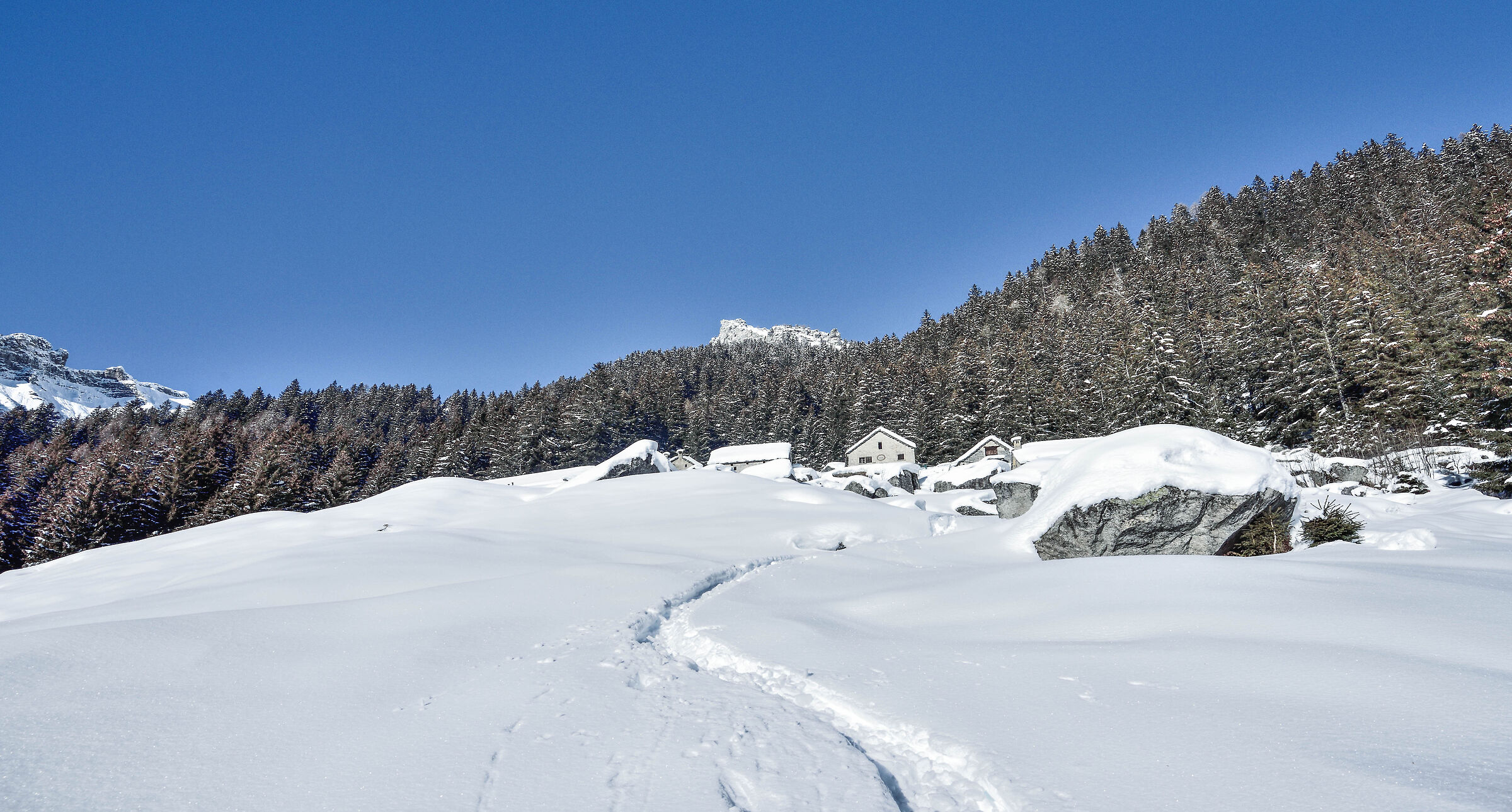 snowshoeing Foppiano di Crodo-Alpe Voma-Alpe Prepiana on...