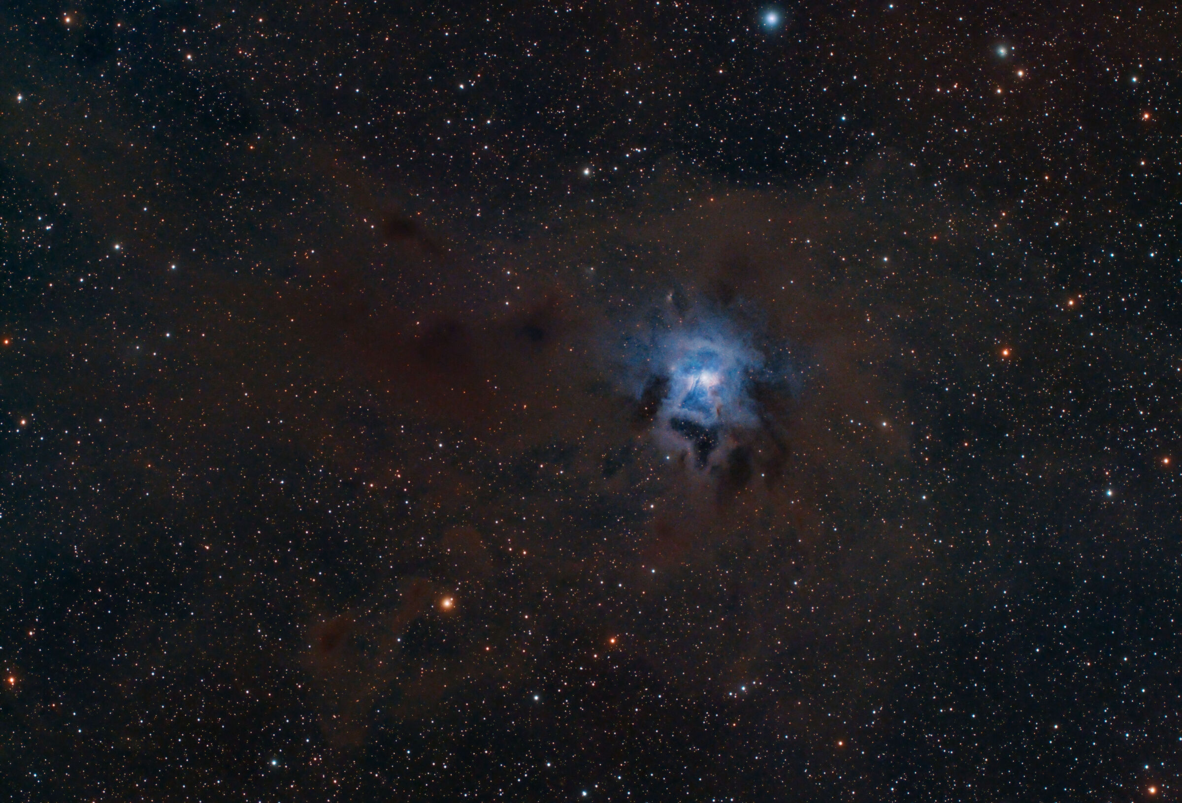 Iris nebula ngc7023...