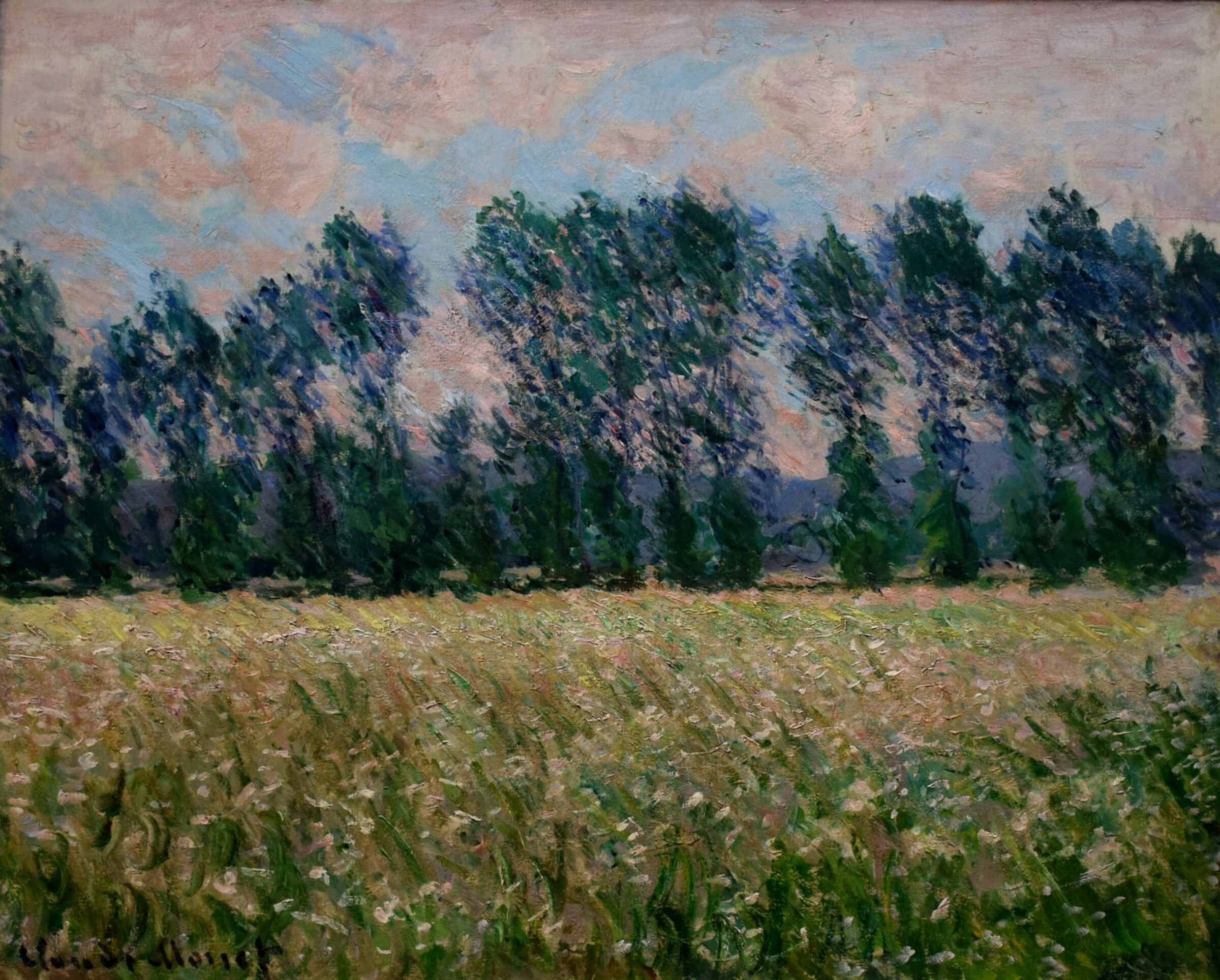 Claude Monet "Prato a Giverny"...