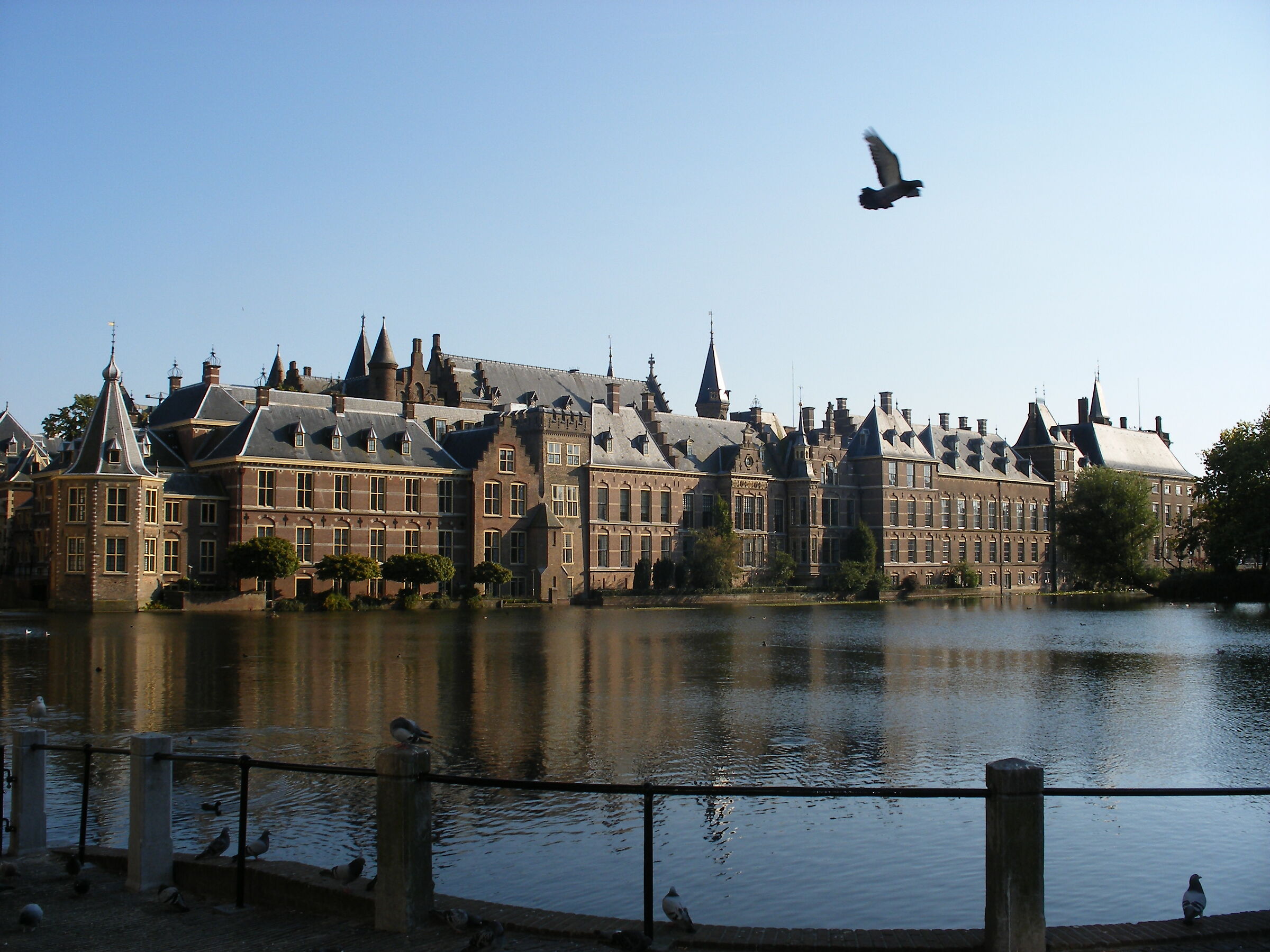 The Hague...