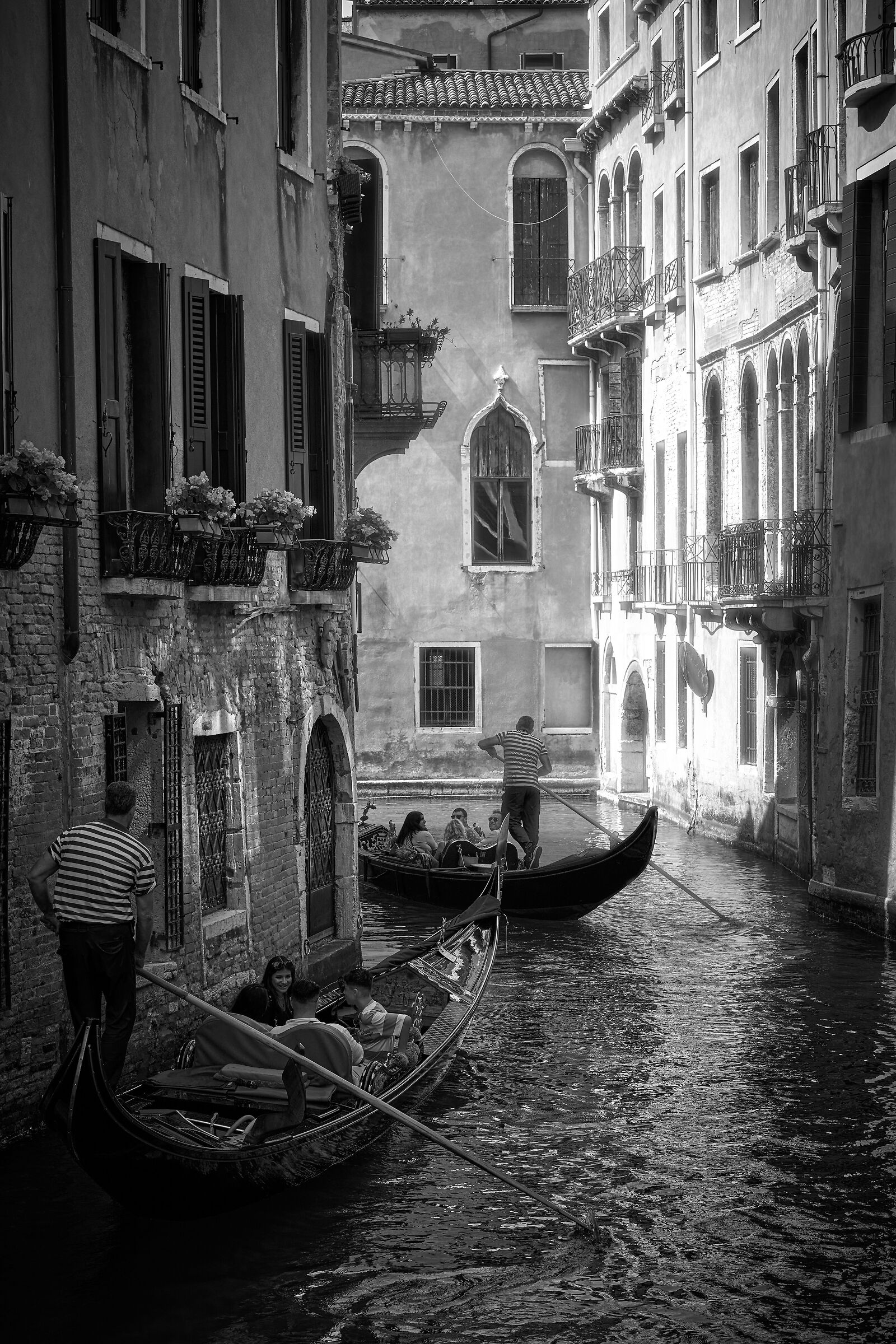 Venice bn...
