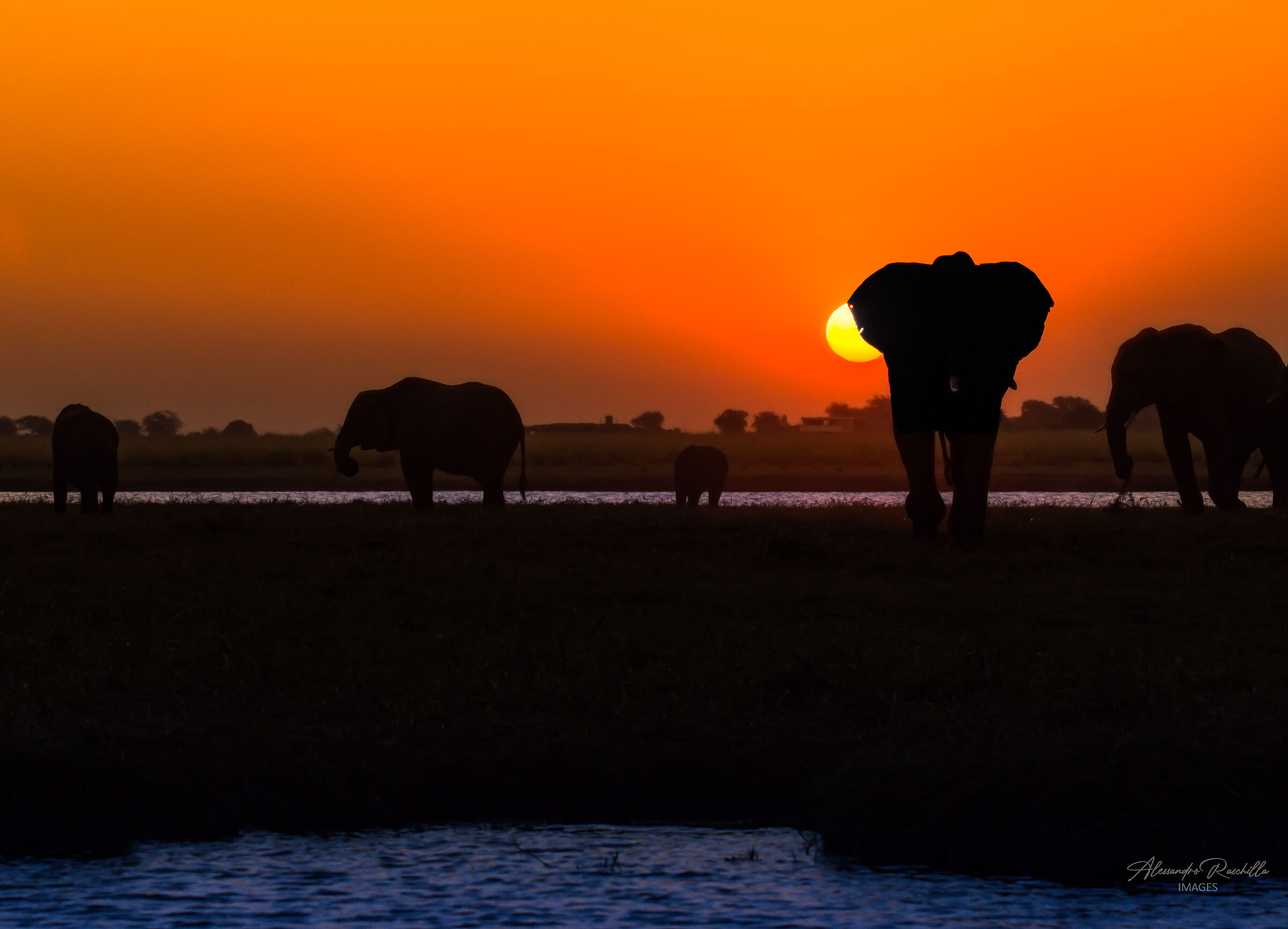 Tramonto sul delta dell'Okavango...