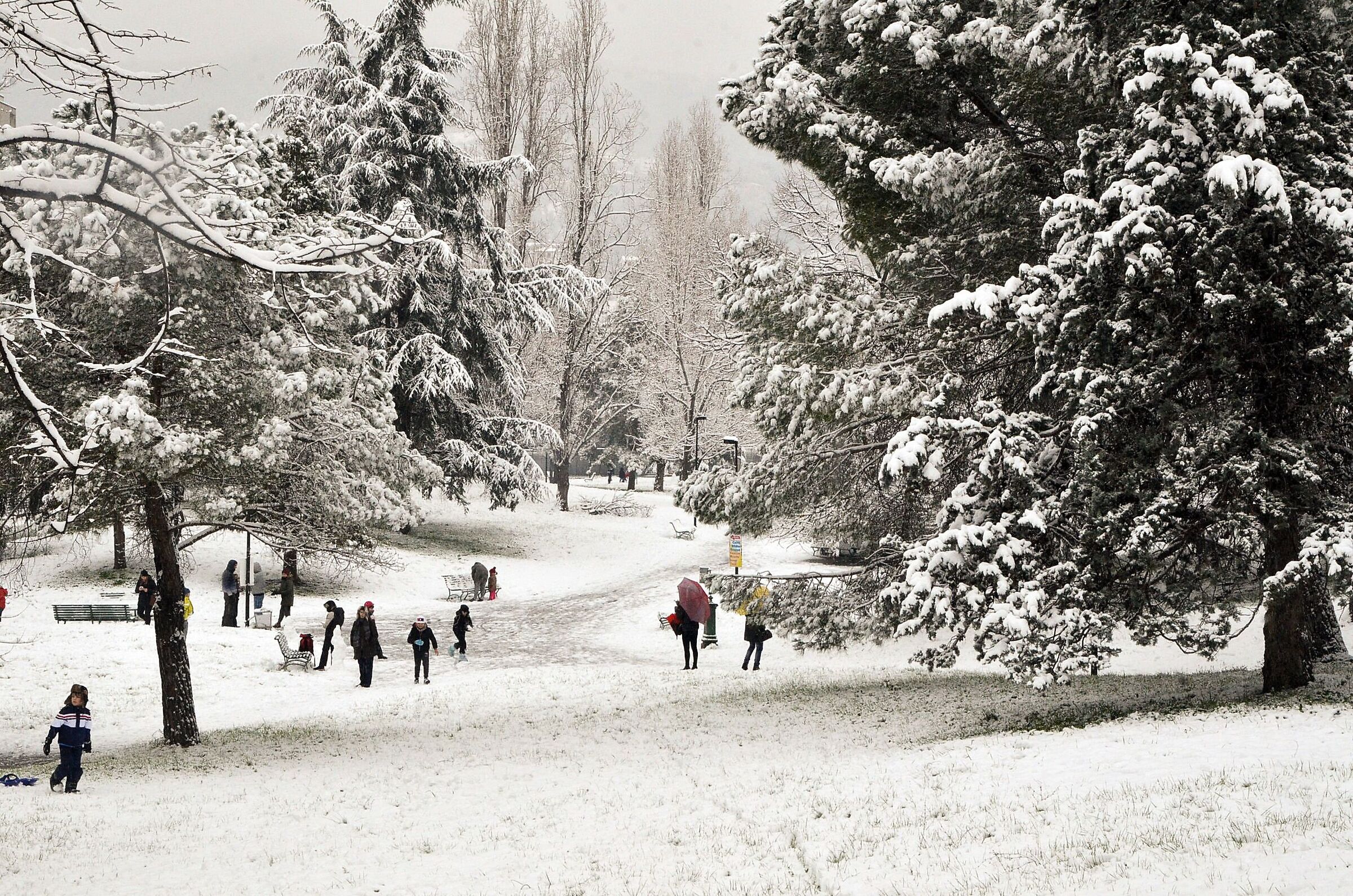 Parks under the Snow 2...