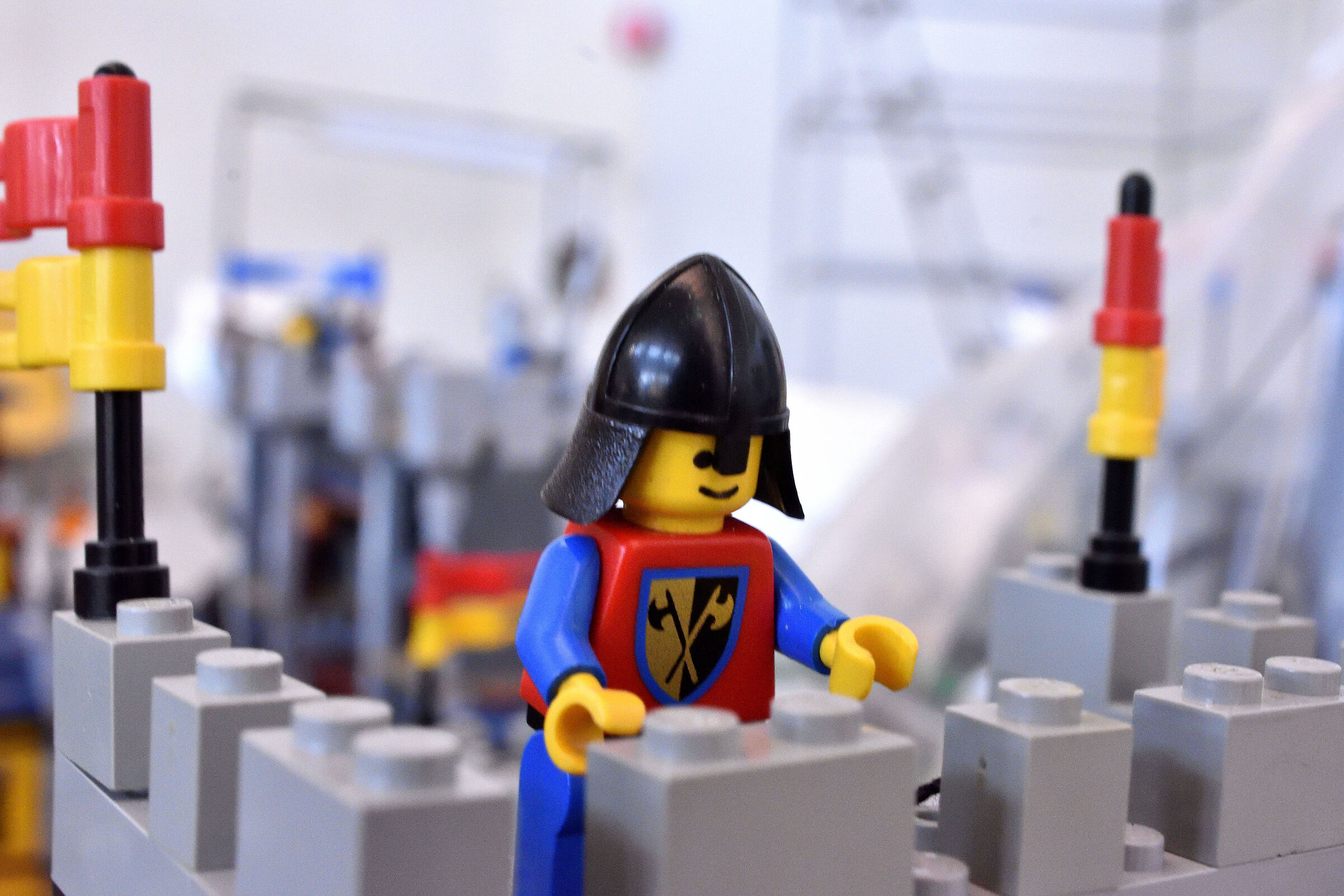 The LEGO Guard...