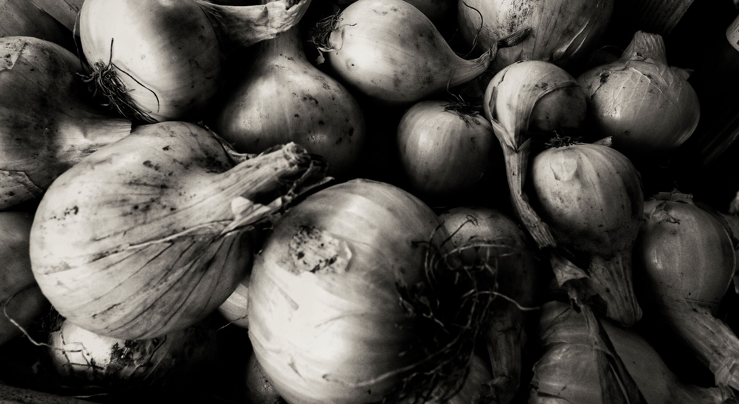 White onions...
