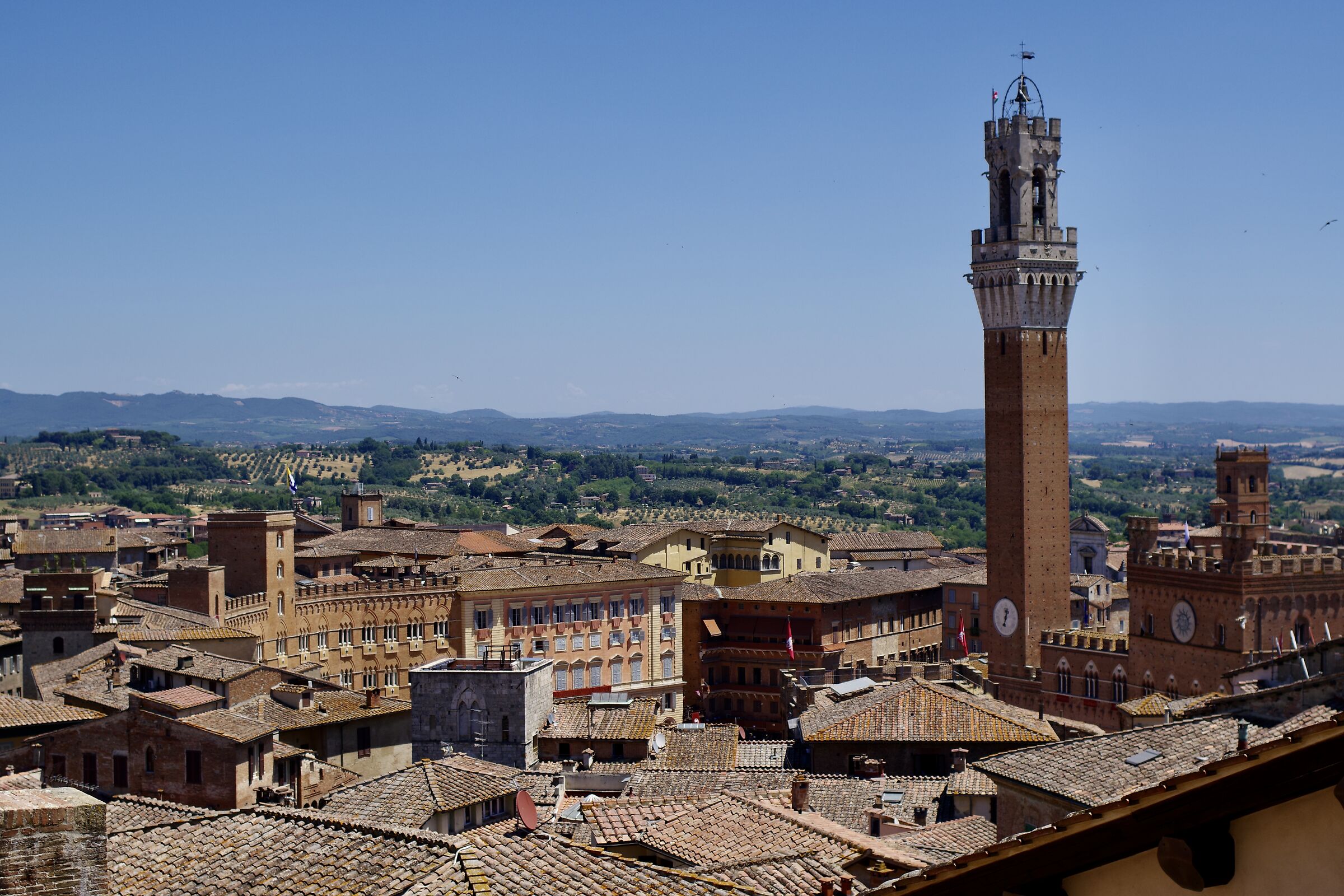 The roofs of Siena...