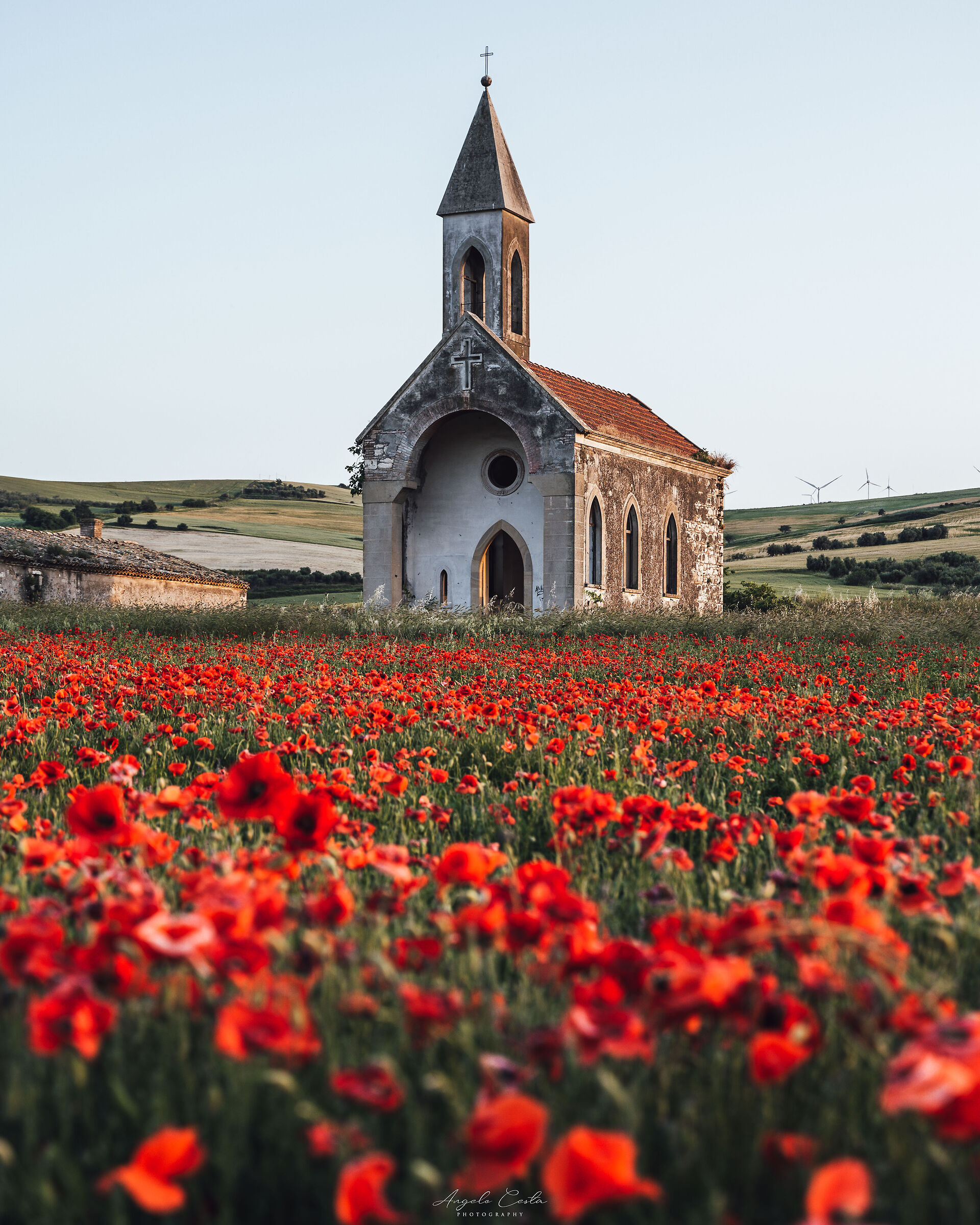 A Church among the poppies...