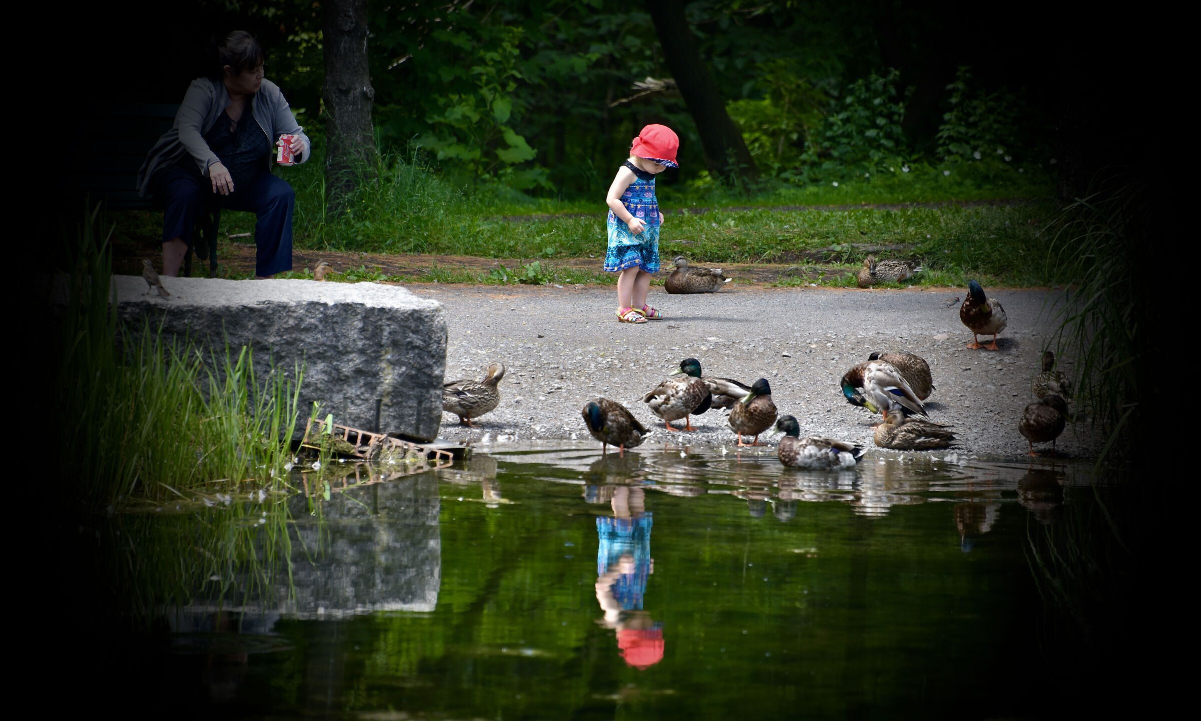 She discovers nature..Park Quebec City..Canada...