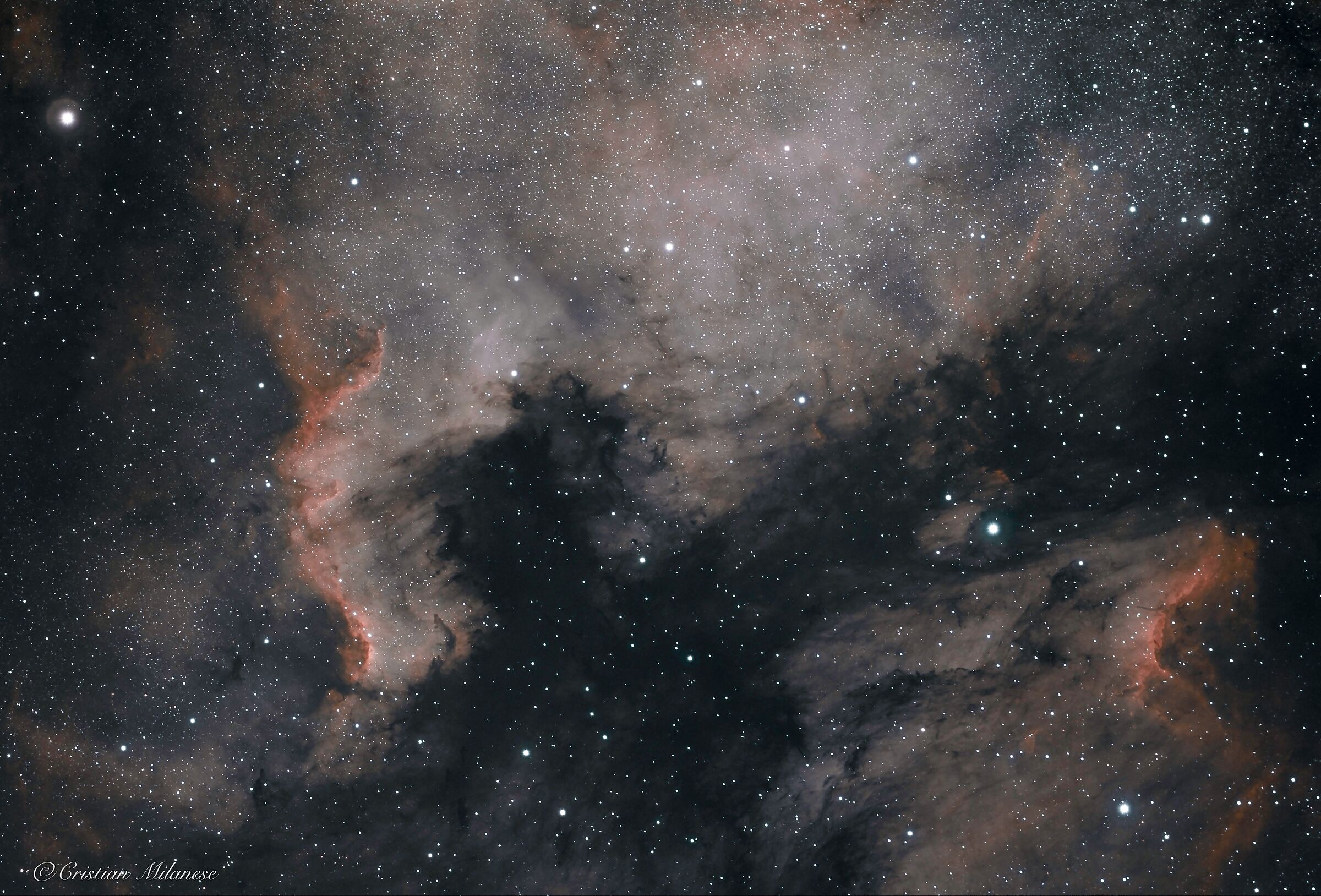 Nebulosa Nord America e Pellicano...