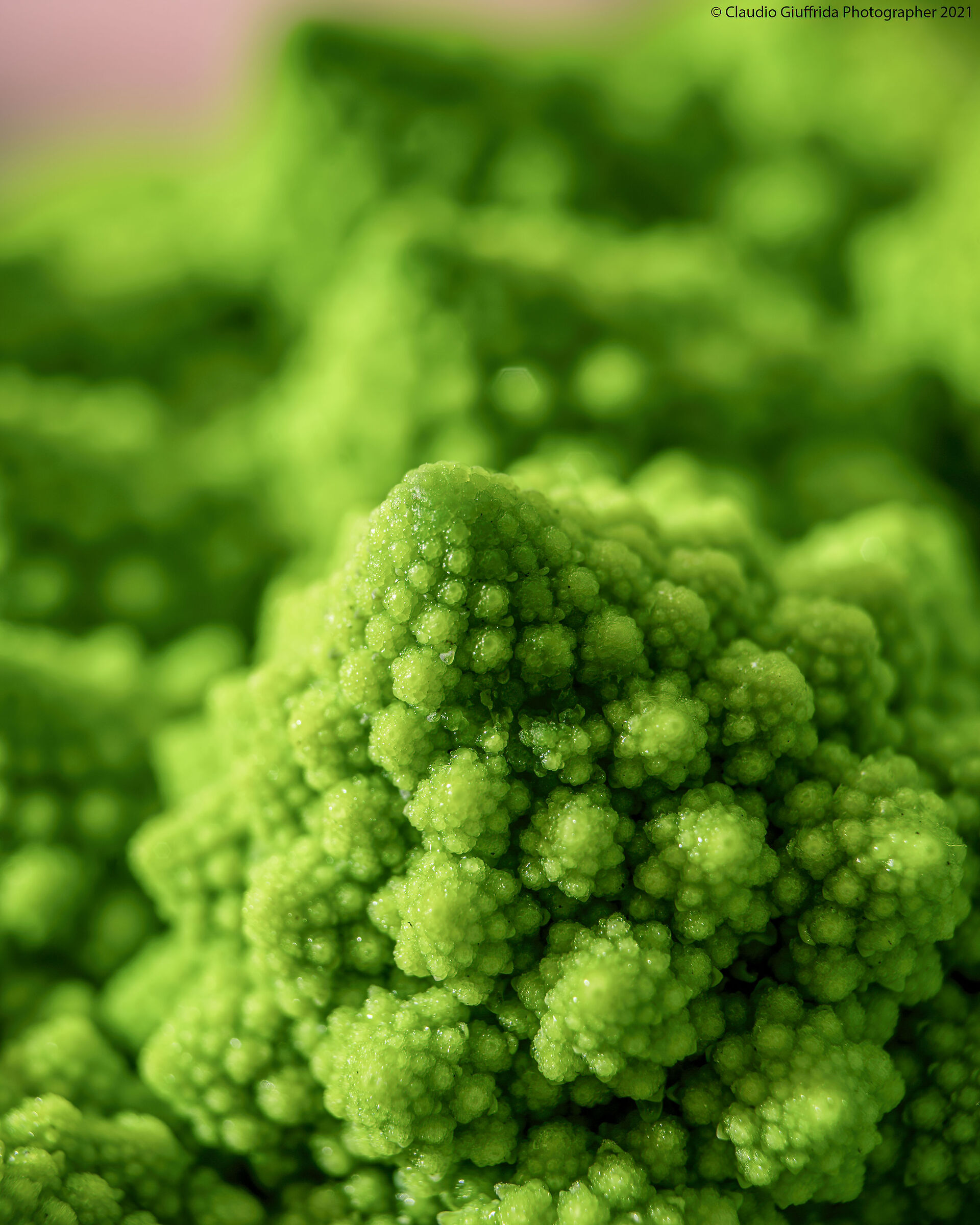 Broccoli and Fibonacci...