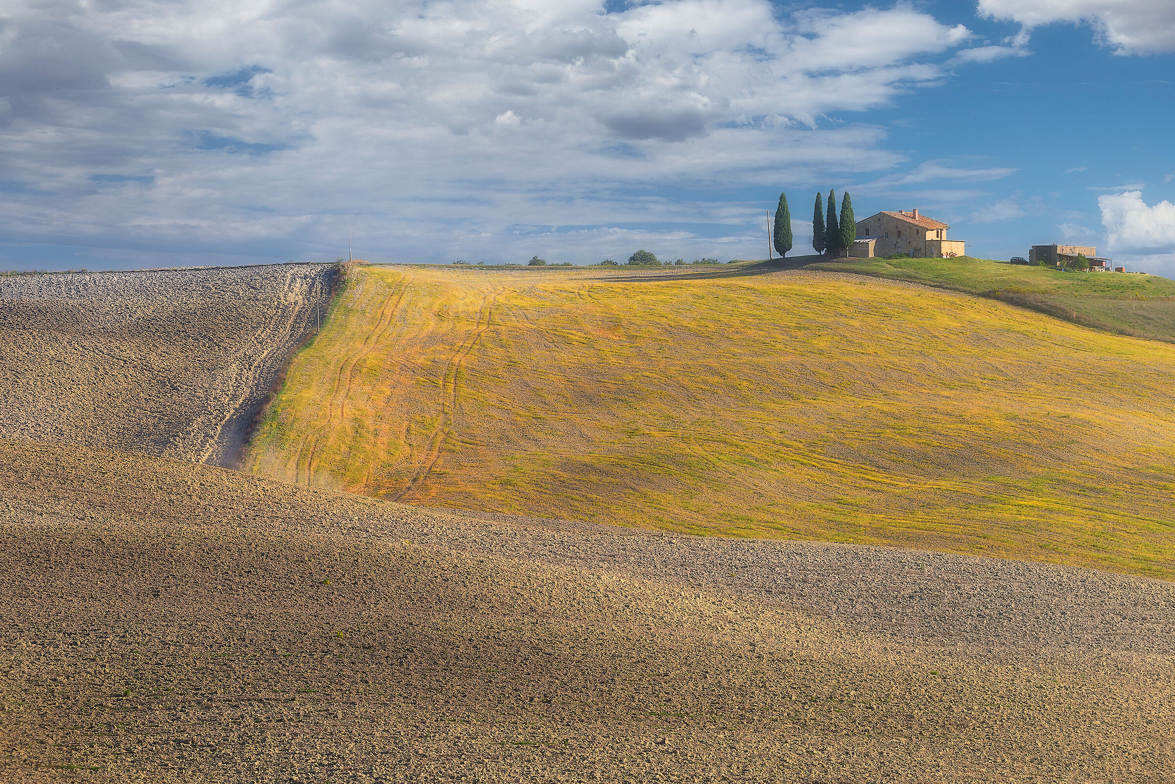 Tuscan Contrasts...