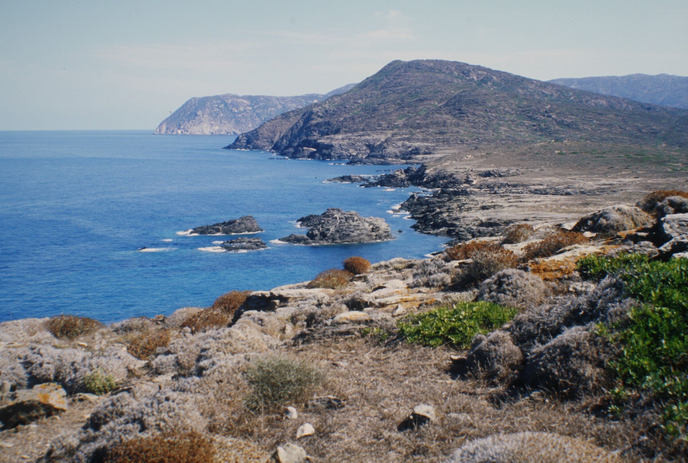 Landscape of the island of Asinara ...