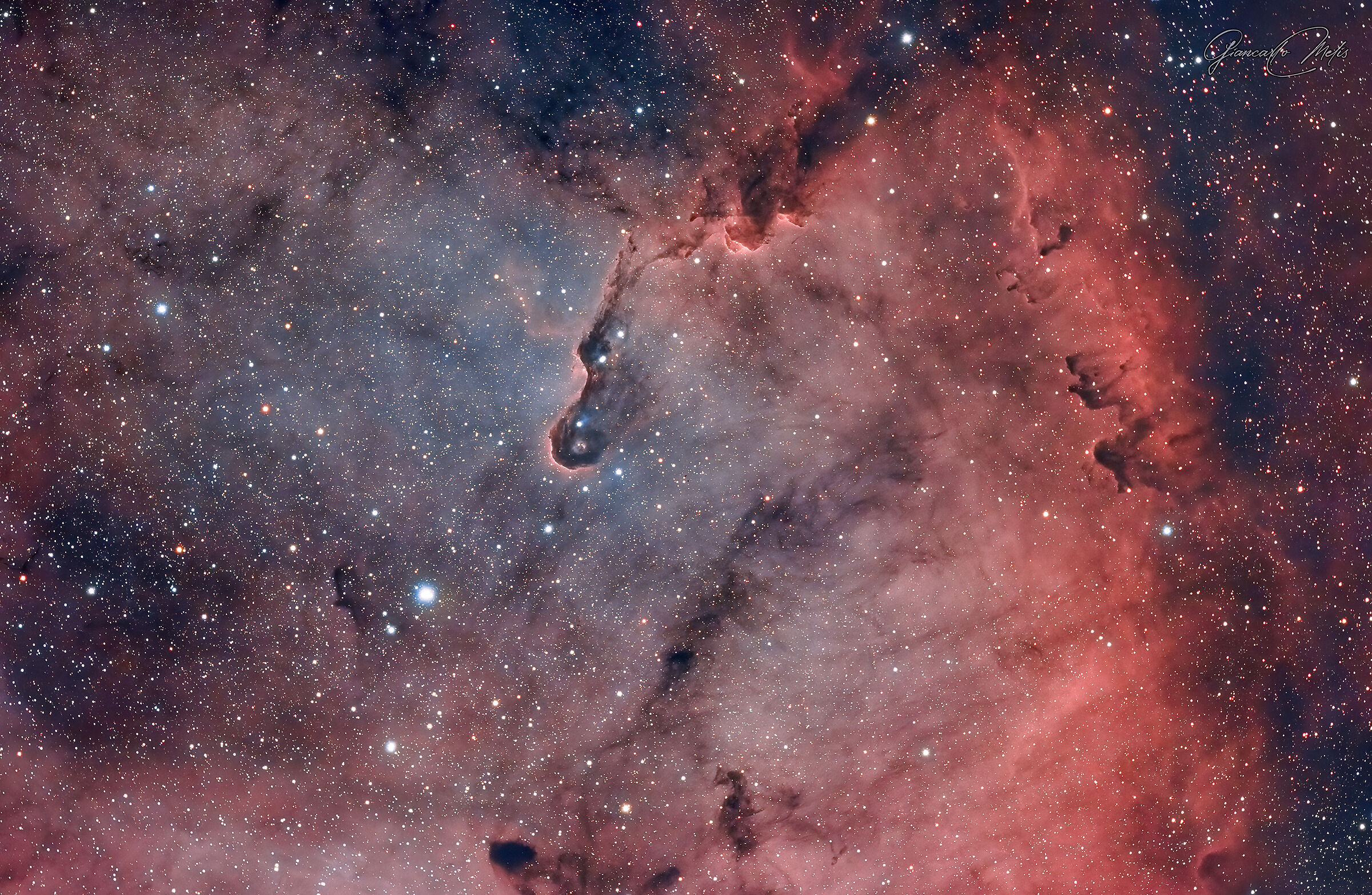 IC 1396 - Elephant's trunk nebula...