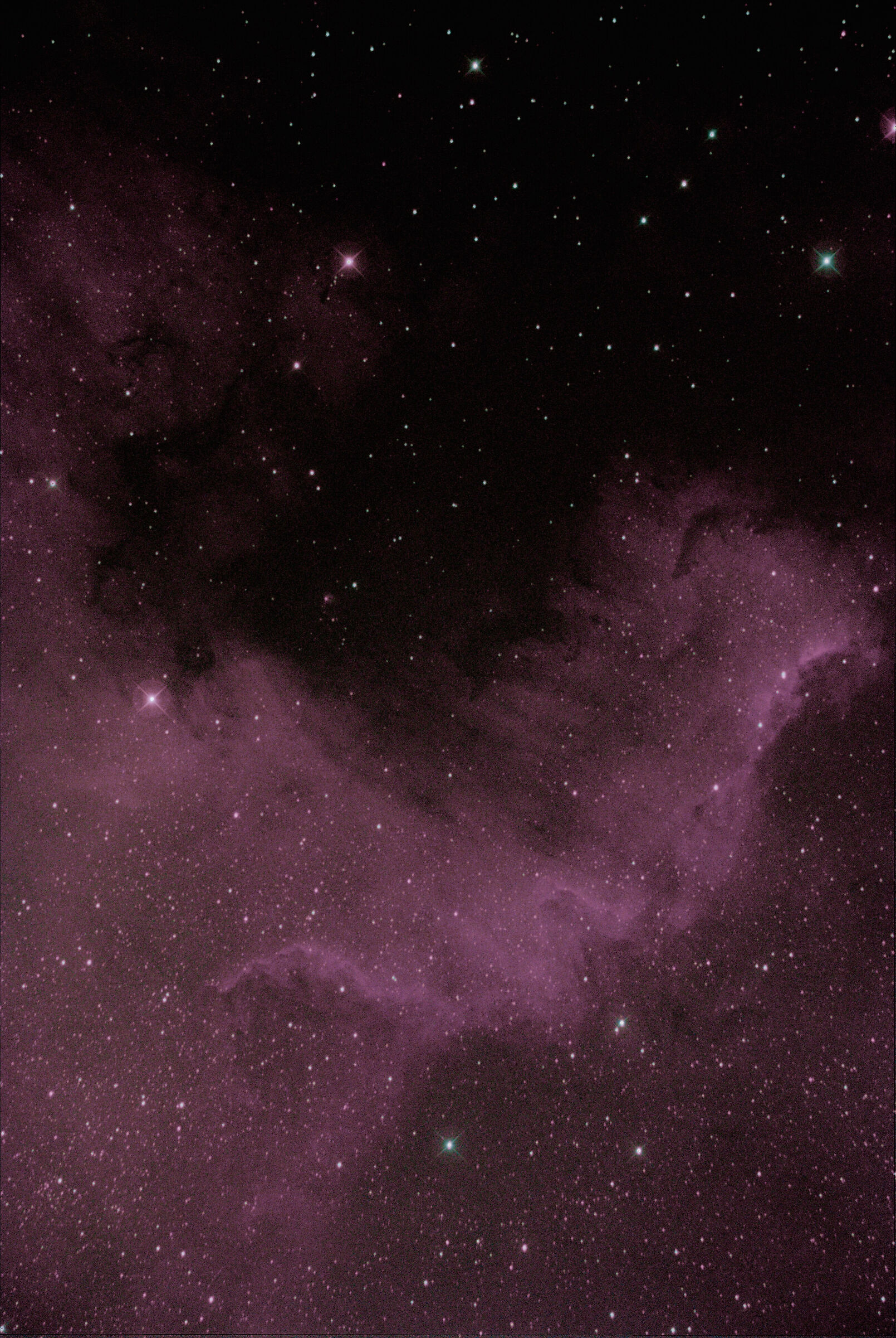 Porzione della nebulosa Nord America nel Cigno ngc7000...