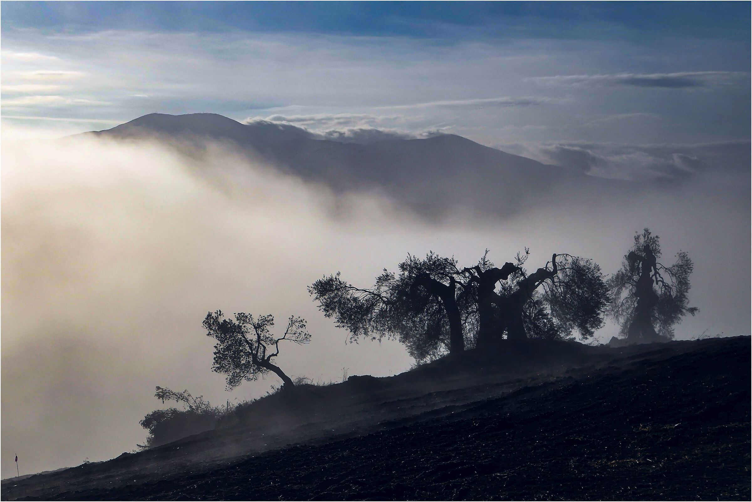 Fog in Val d'Orcia...