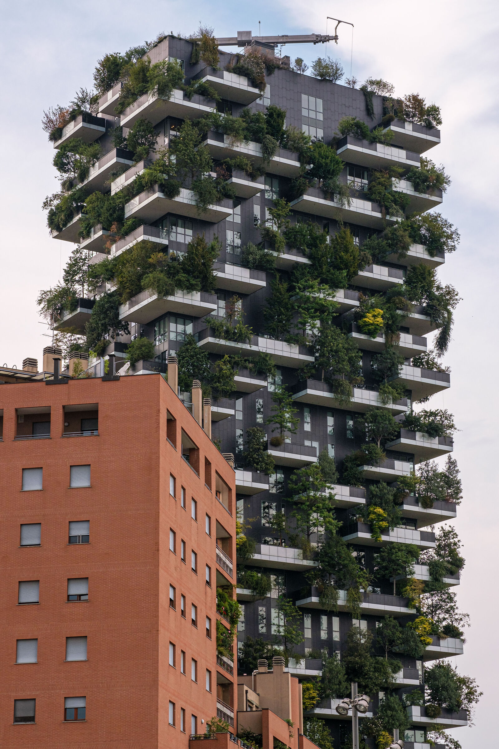 Vertical Forest...