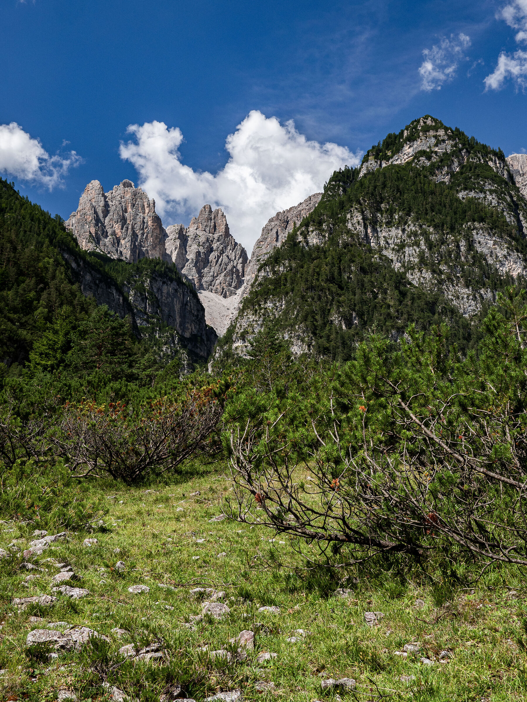 Val Cimoliana - Friulian Dolomites...