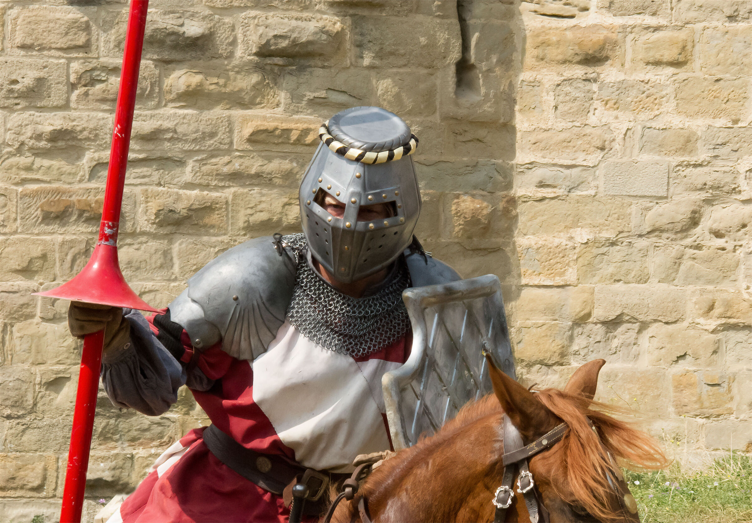 Carcassonne: medieval tournament...