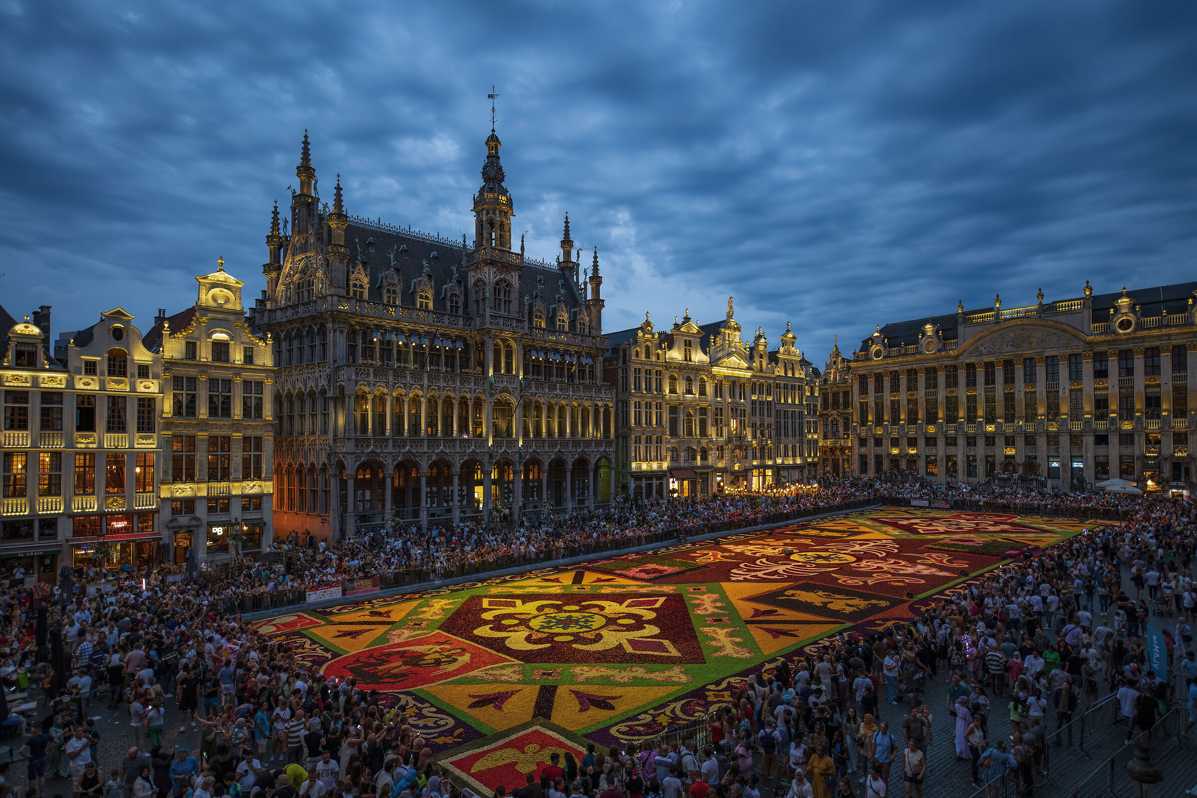 Brussels Flower Carpet 2022...
