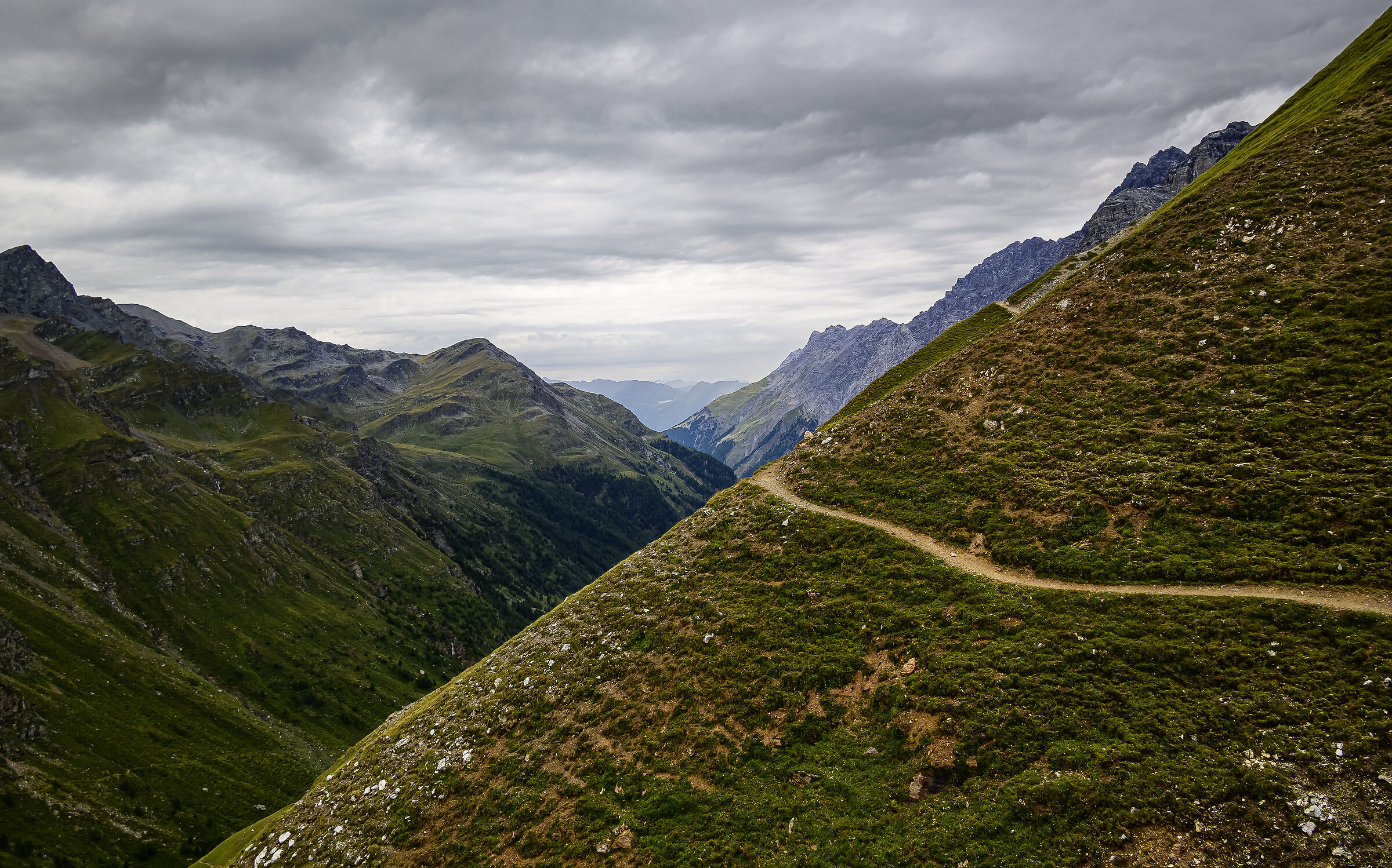Sentiero che collega il V Alpini al passo Zebrù...