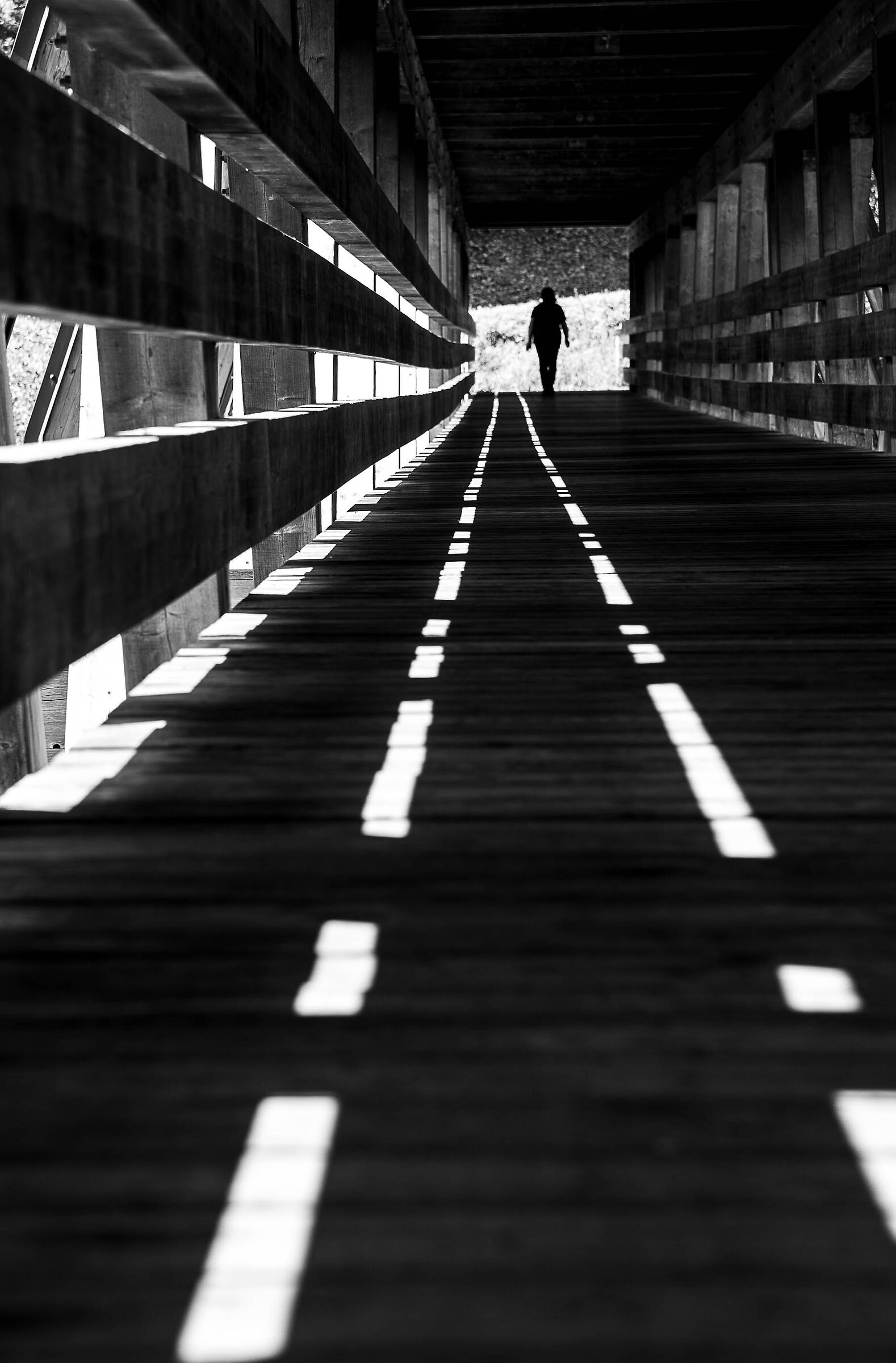 shadows on the bridge...