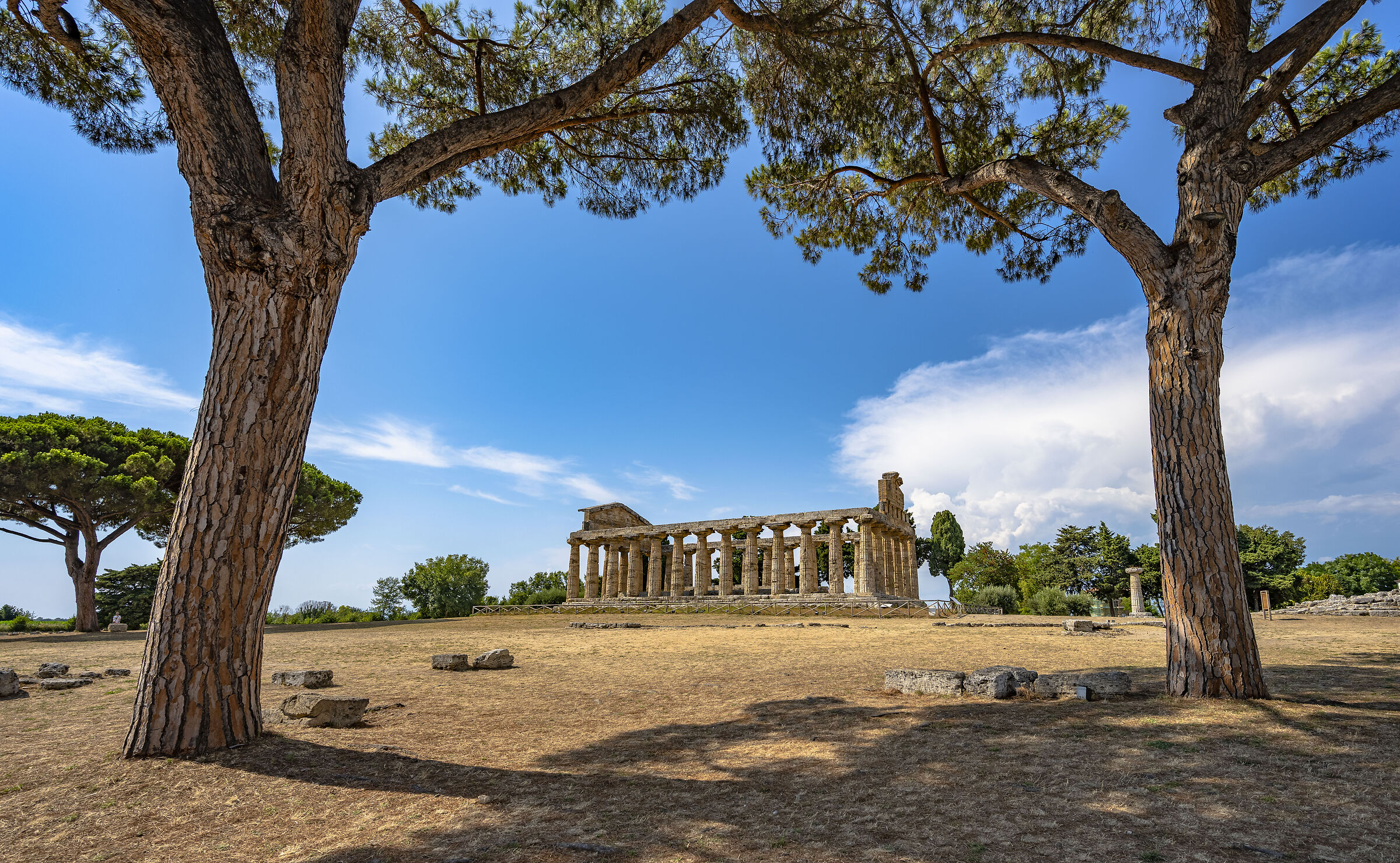 Paestum - Tempio di Atena...