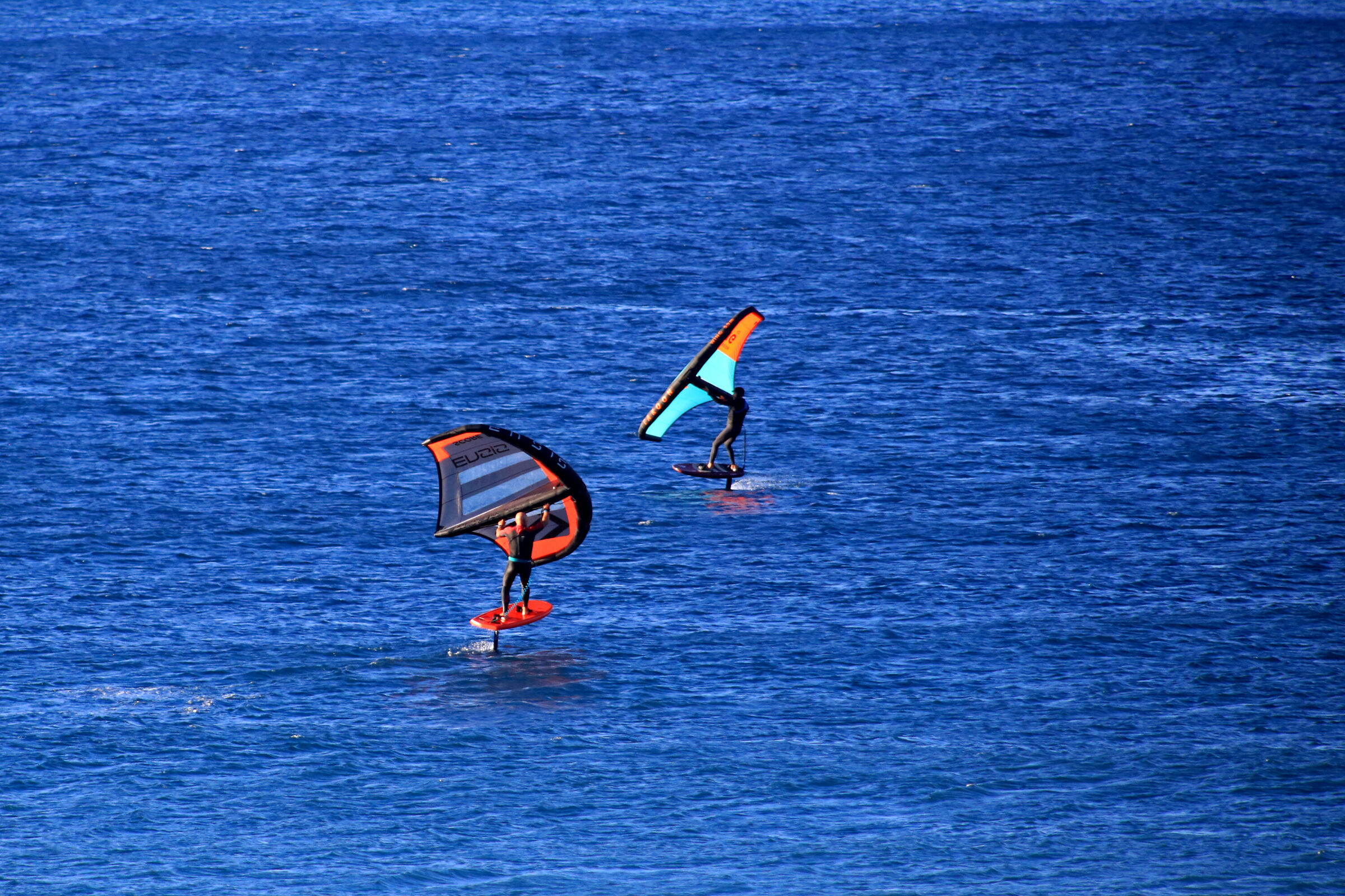 wing hydrofoil...