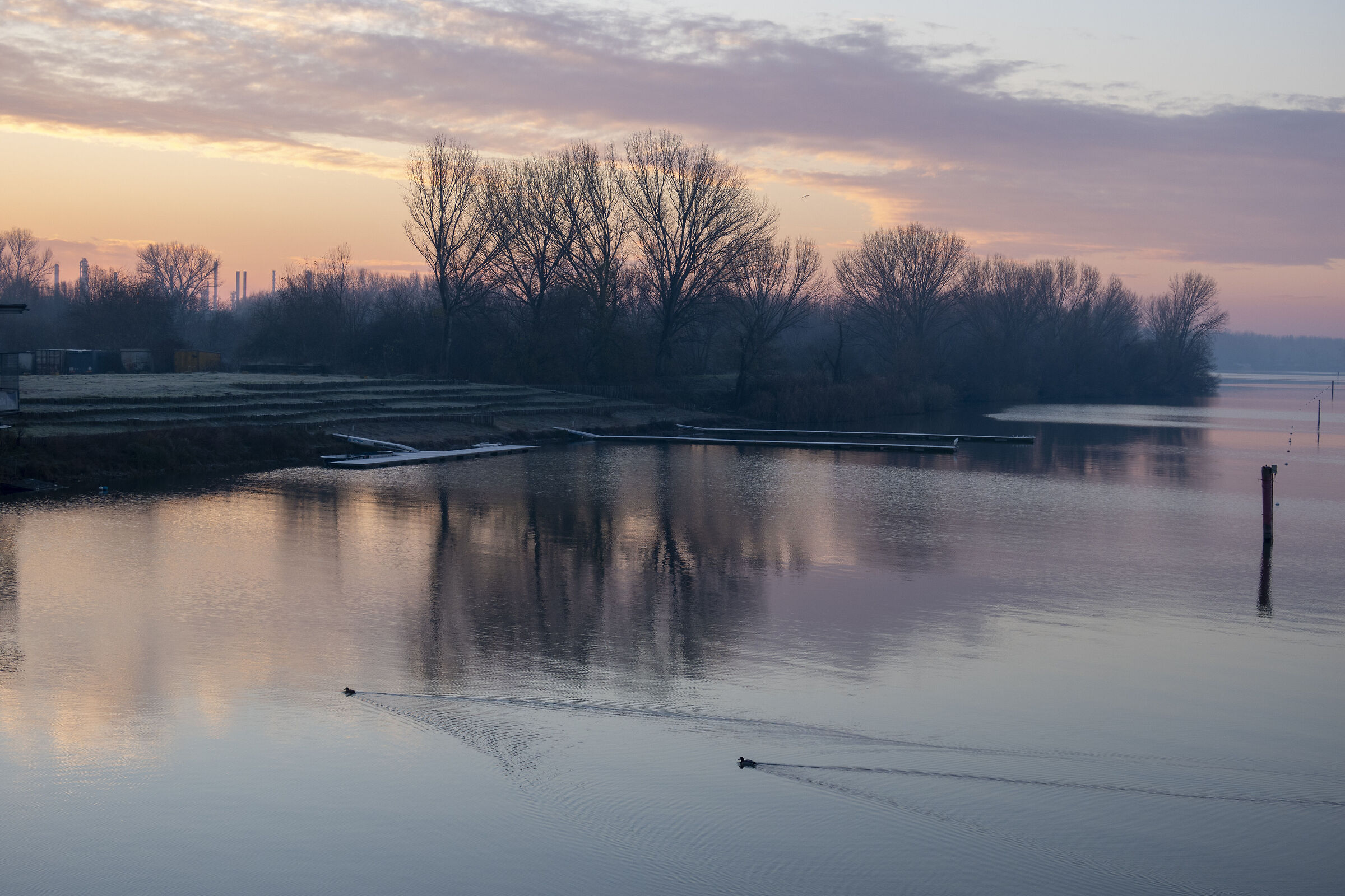Campo canoa Mantova alba inverno...