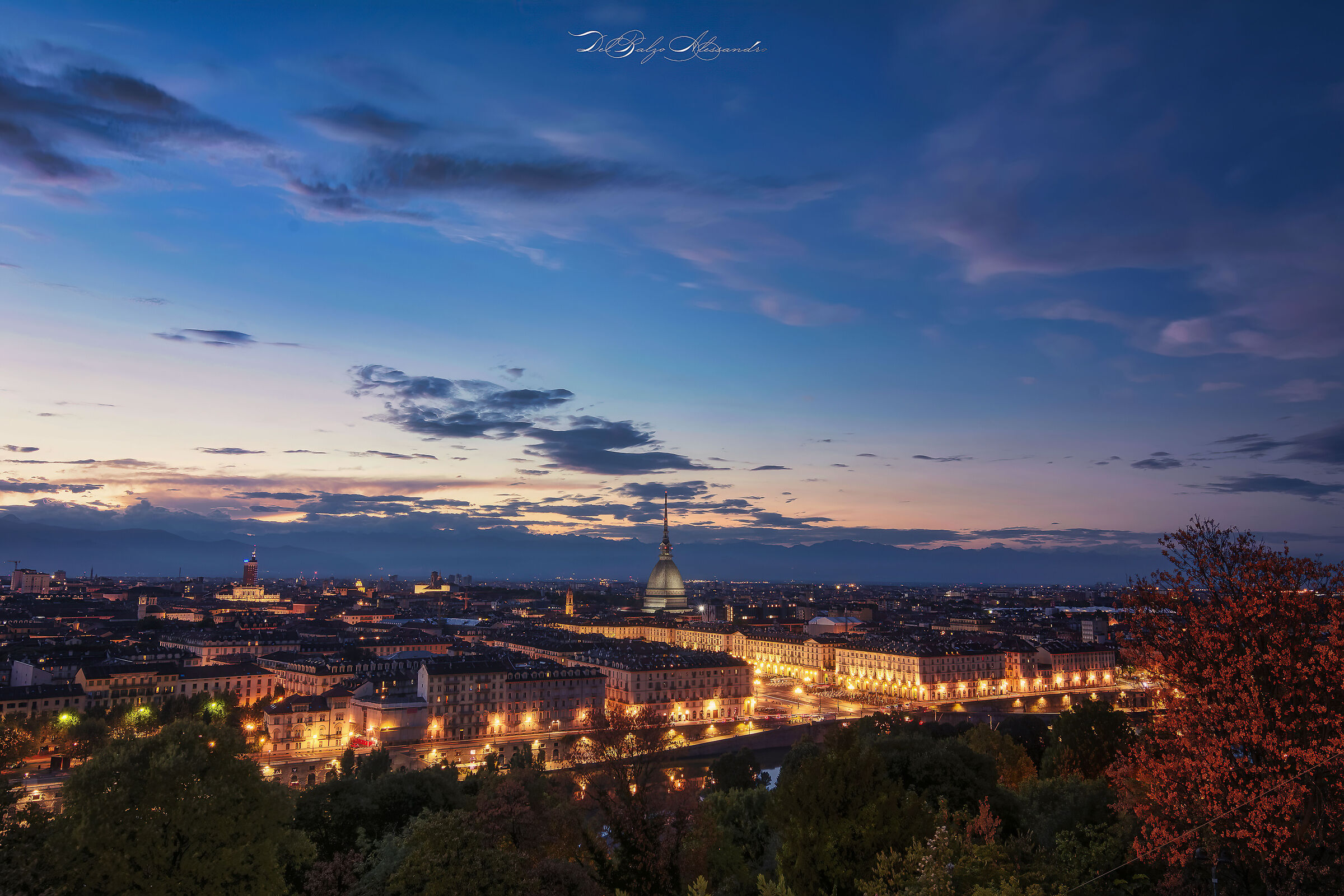 Torino by Night...