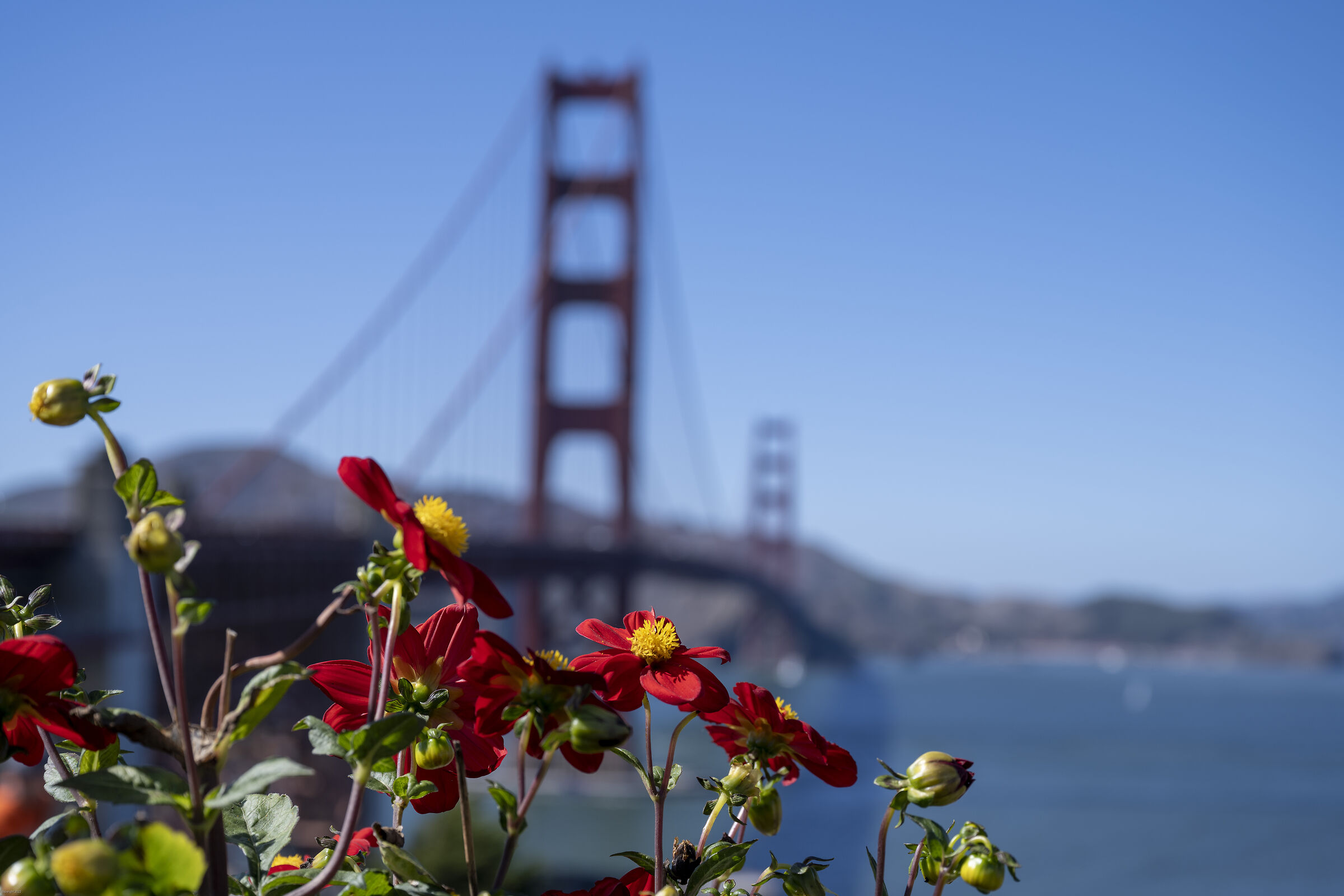 Golden Gate Bridge...