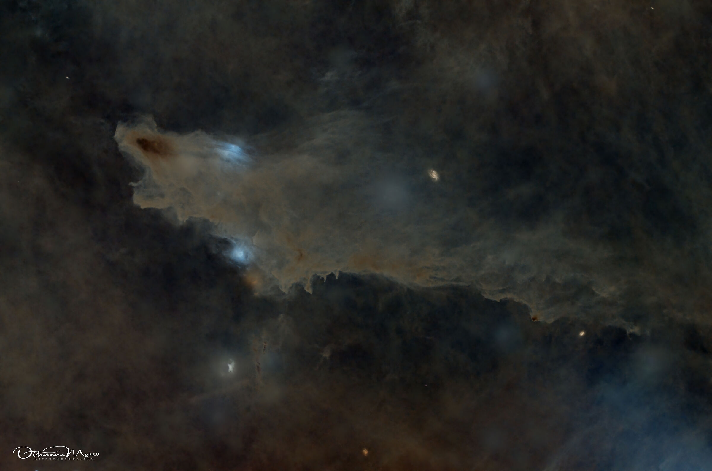 ldn1235 dark nebula (shark) starless version...