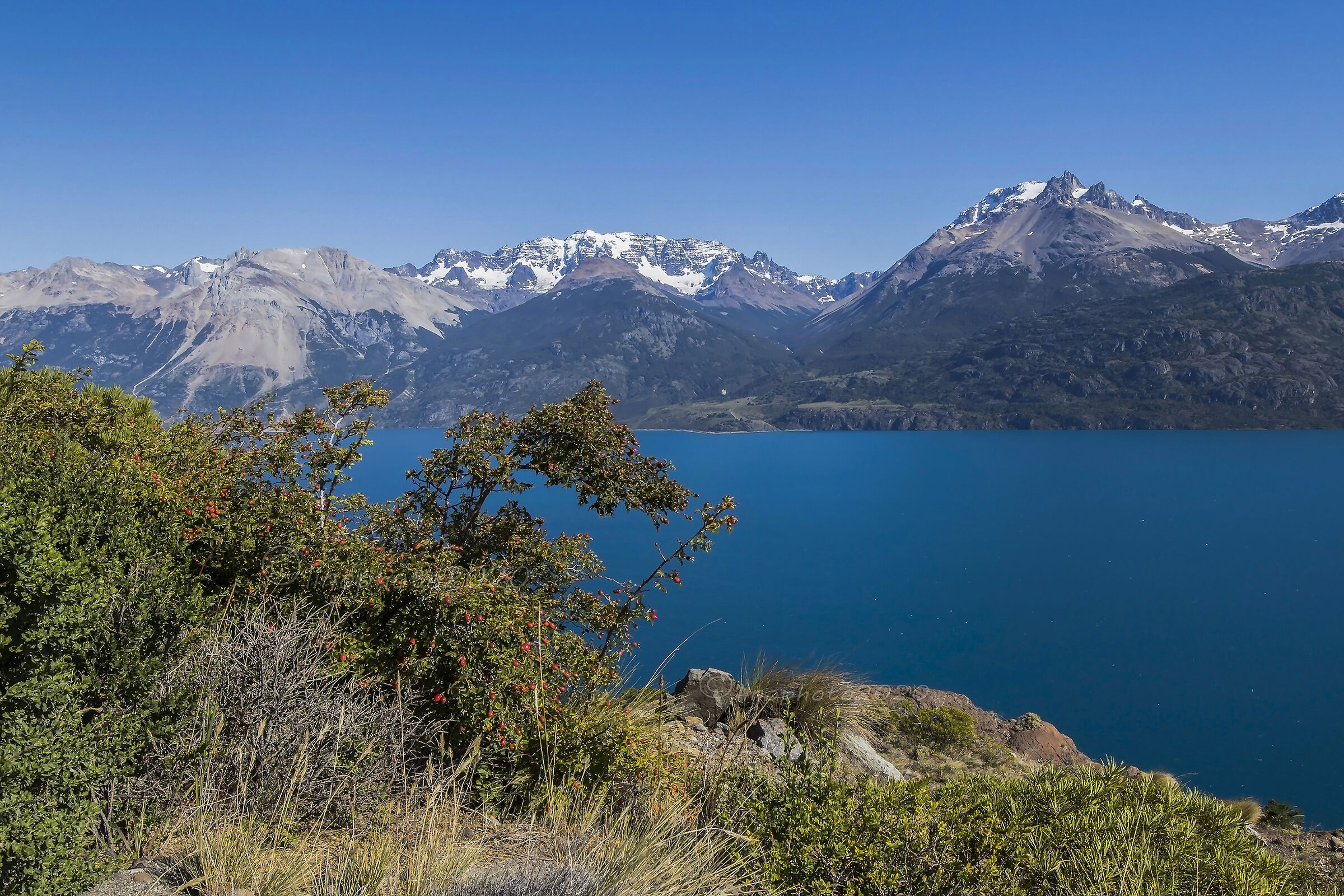 Lago General Carrera n. 3 - Chile...