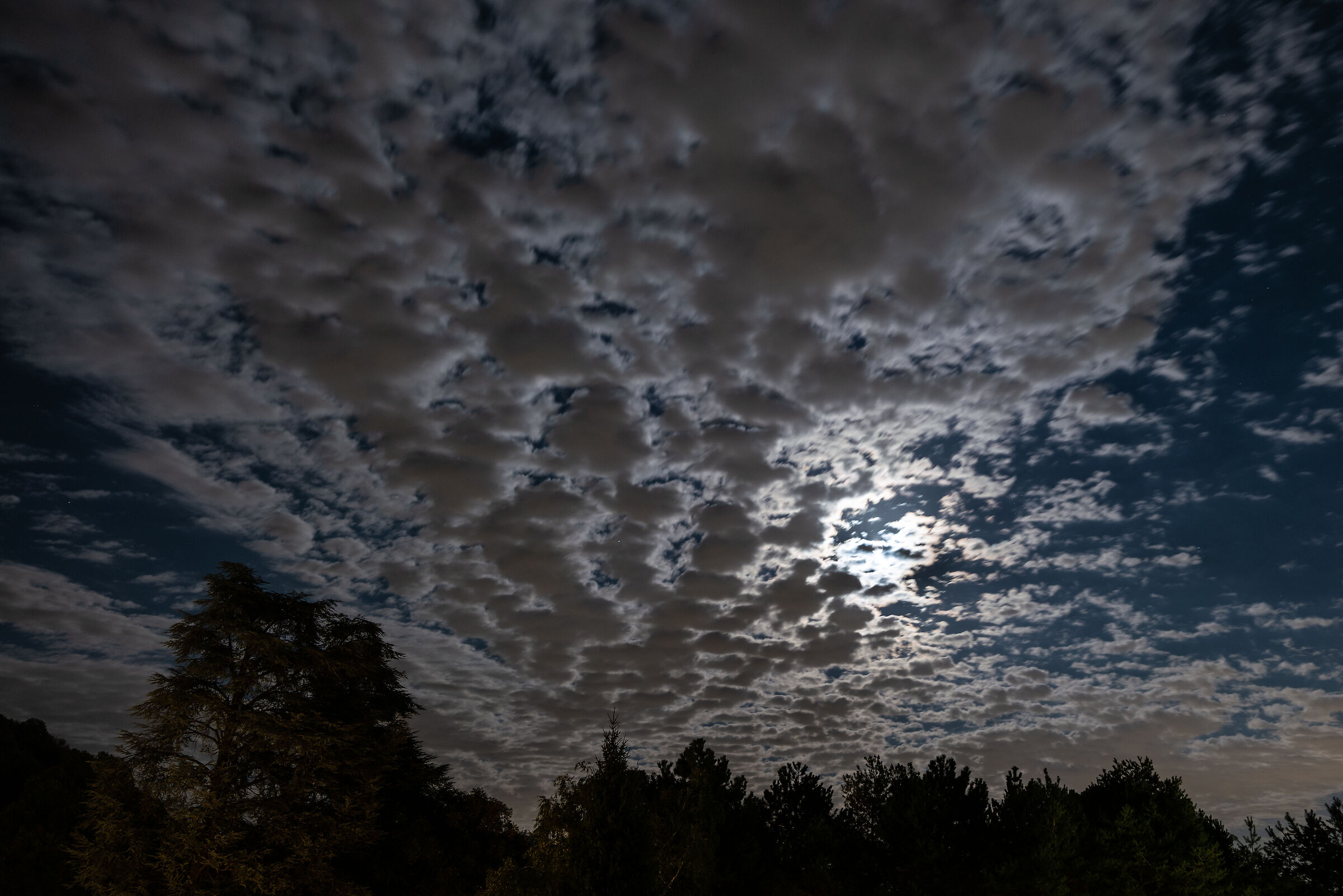 Moonlight clouds...