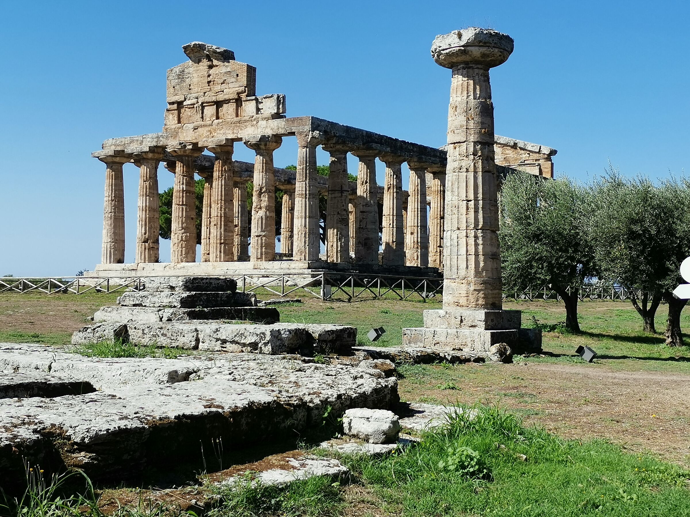 Tempio di Athena (Paestum)...