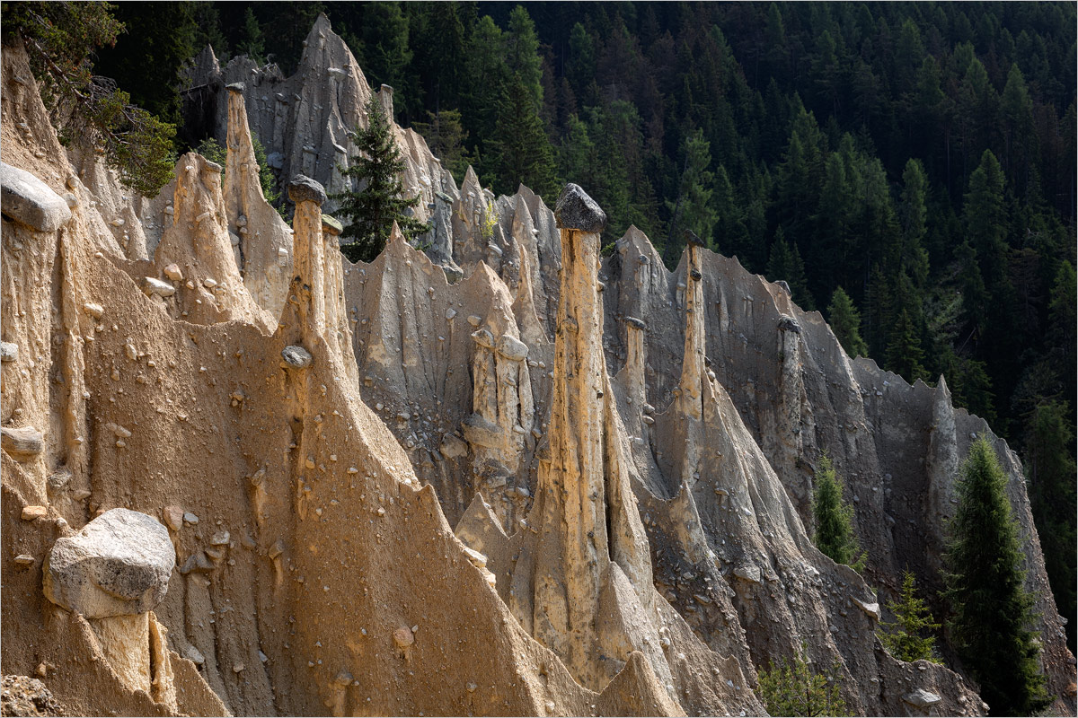 Stone Forest...