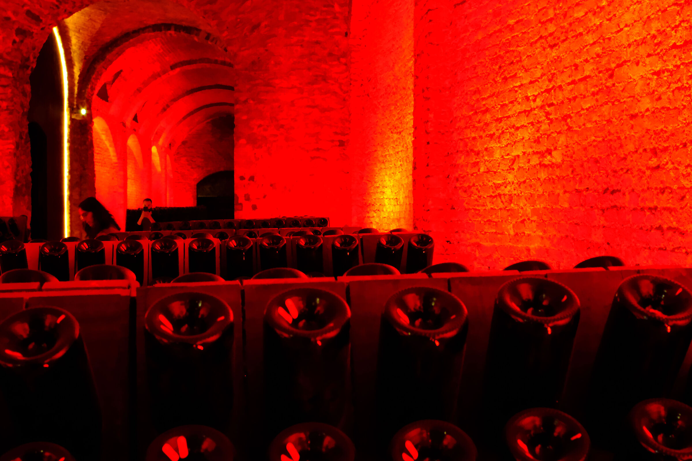 Cellar in red...