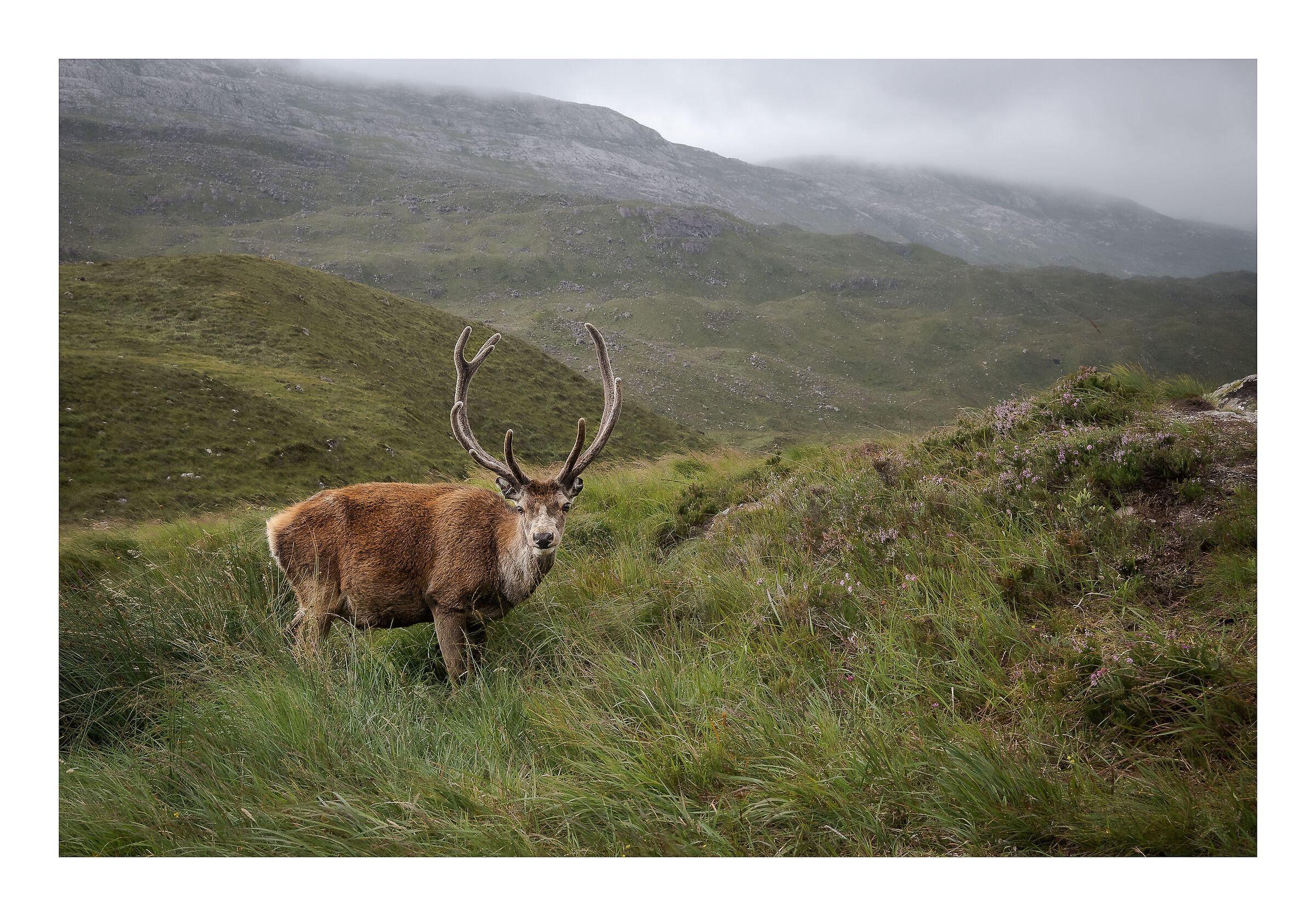 Dating in the Scottish Highlands...