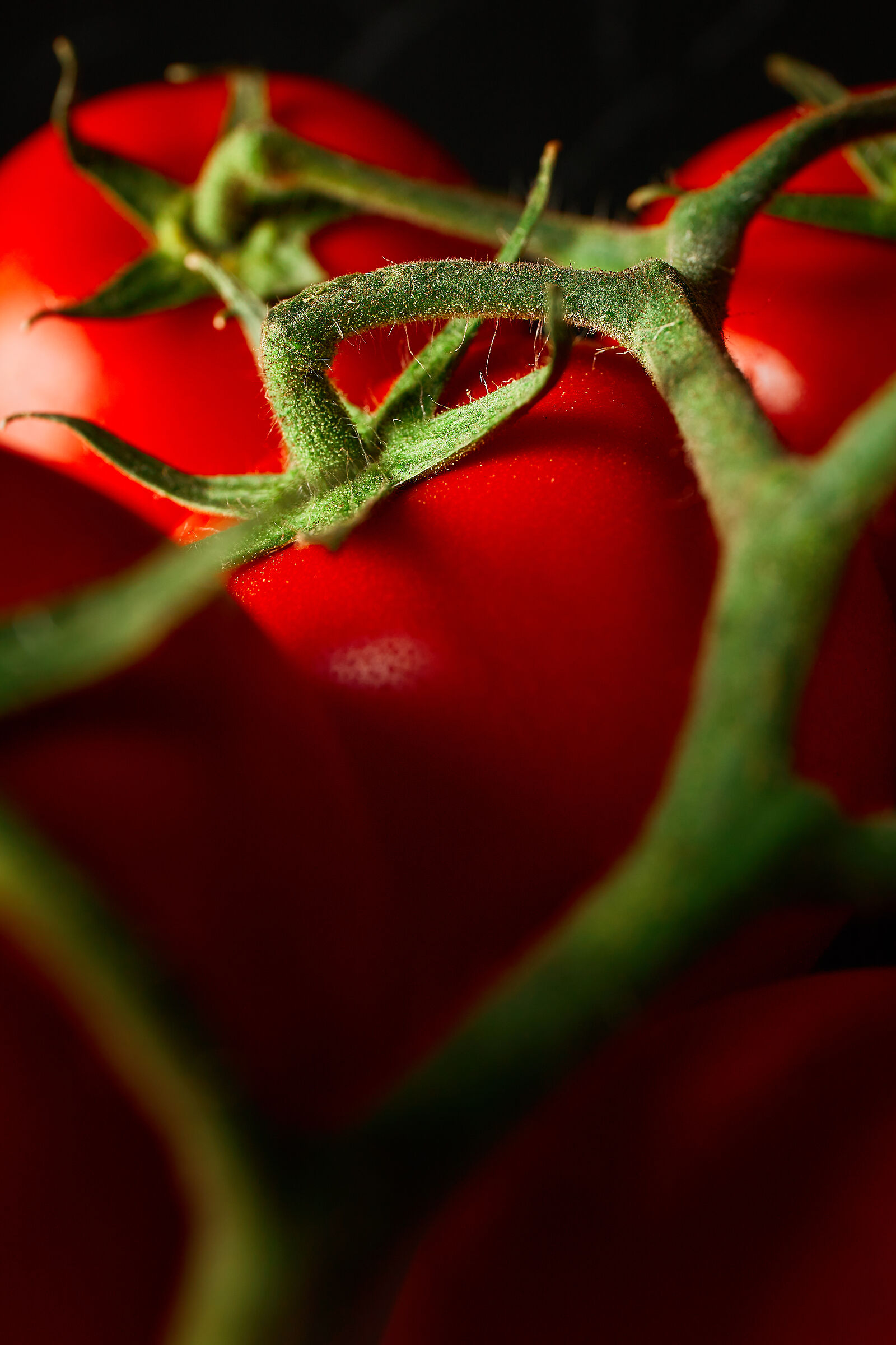 Tomatoes...