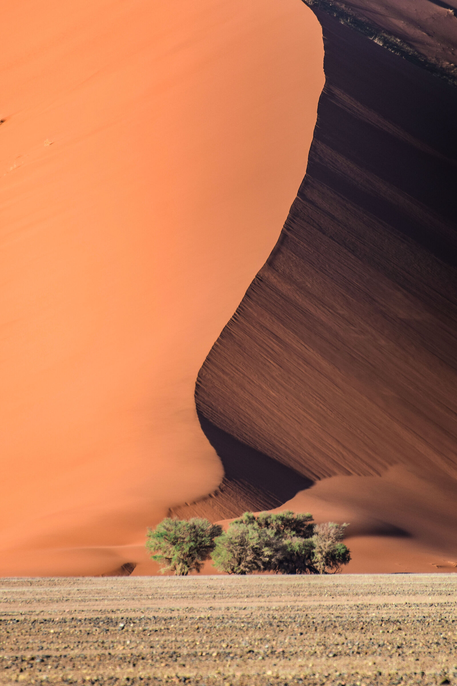 Namib Desert...
