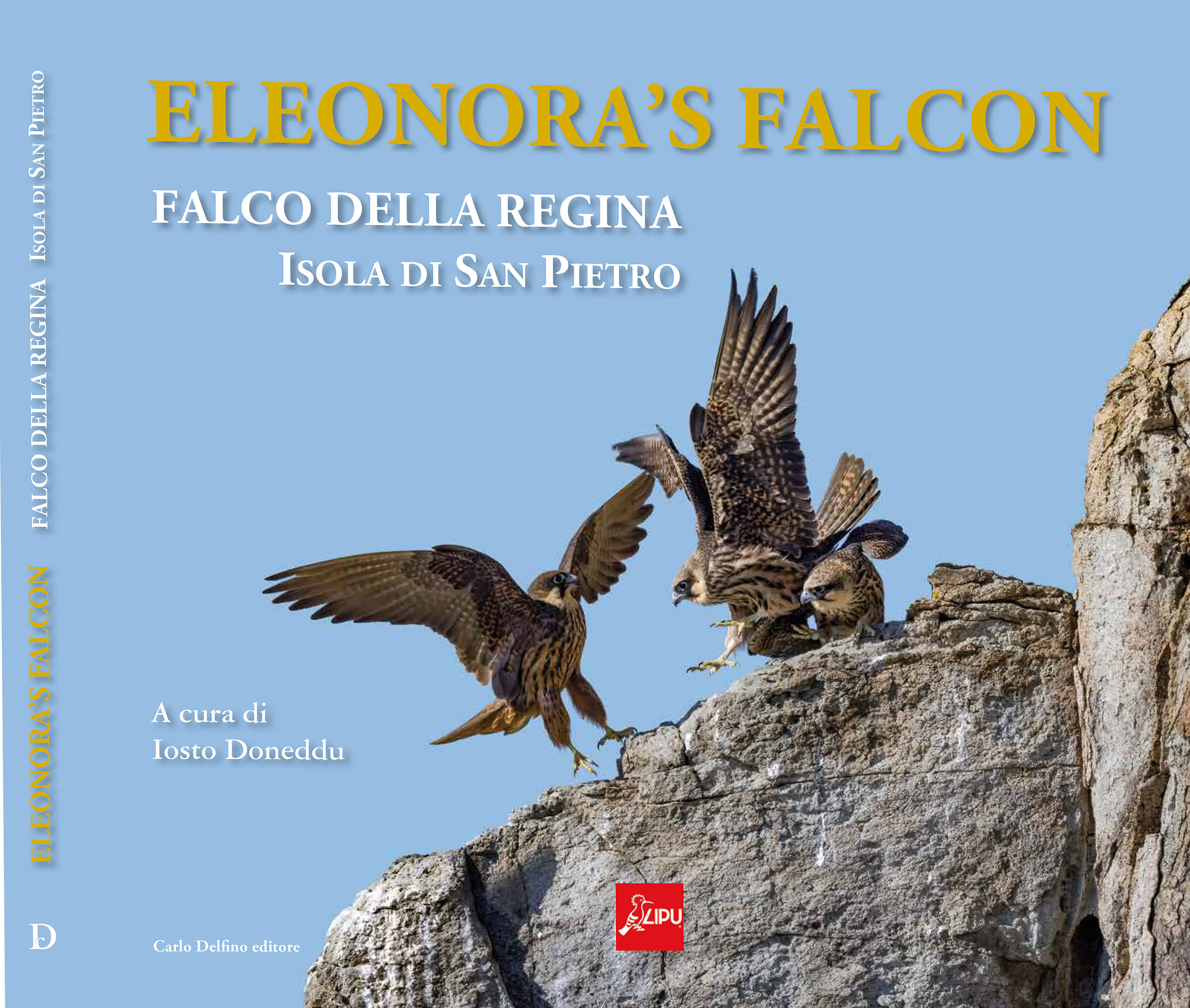 Eleonora's Falcon...